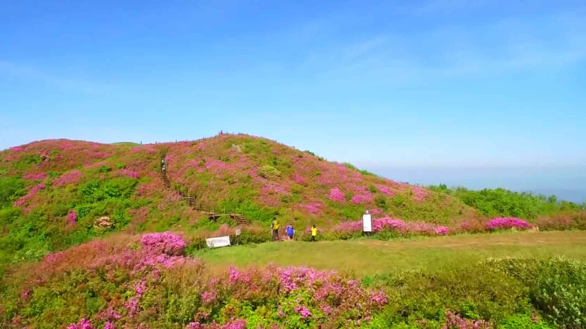 [글로컬 전북] 지역 소식 (남원·고창·김제·장수)