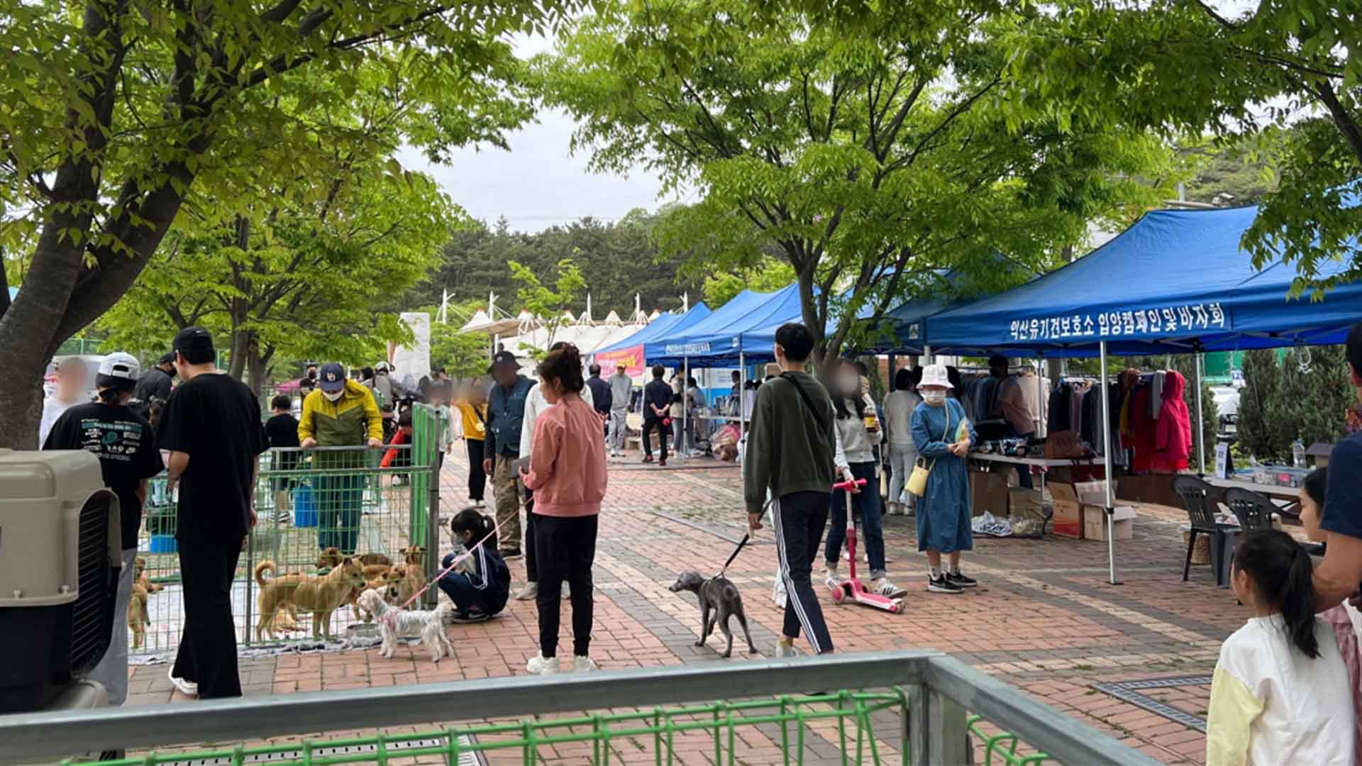 익산, 18~19일 유기동물 입양 캠페인 운영