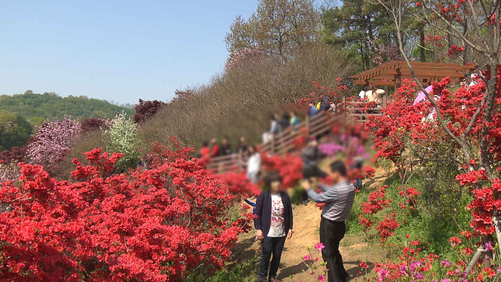 전주시, 완산칠봉에 한빛마루 공원 조성