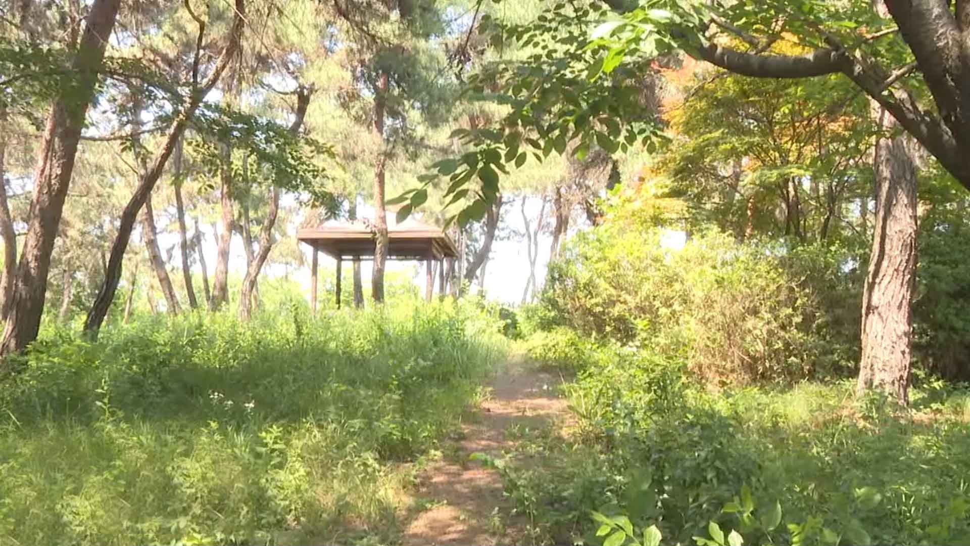 [글로컬 전북] 지역 소식 (완주·김제·순창·고창)