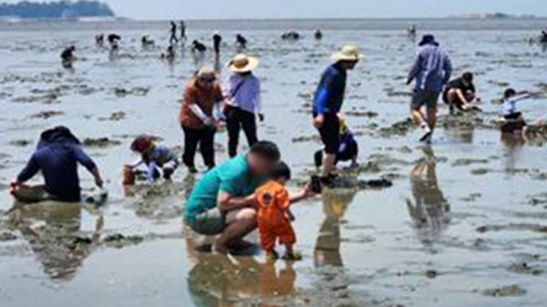 '고창갯벌축제' 28~30일 개최