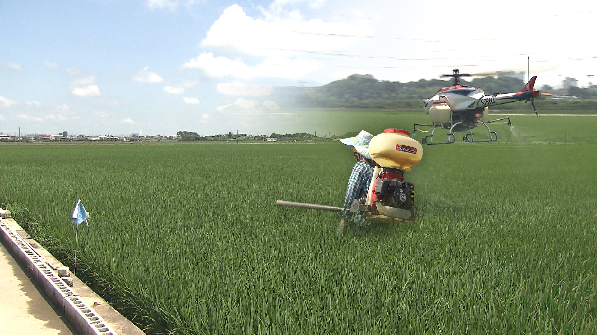 익산시, 고품질 쌀생산 병해충 방제 총력