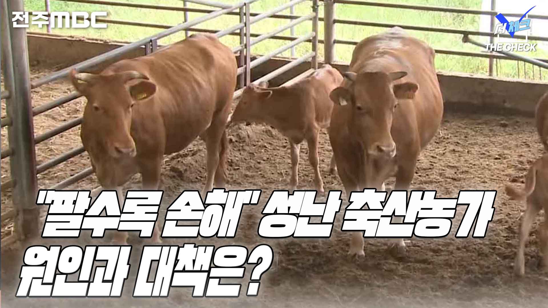 [한번더체크] 