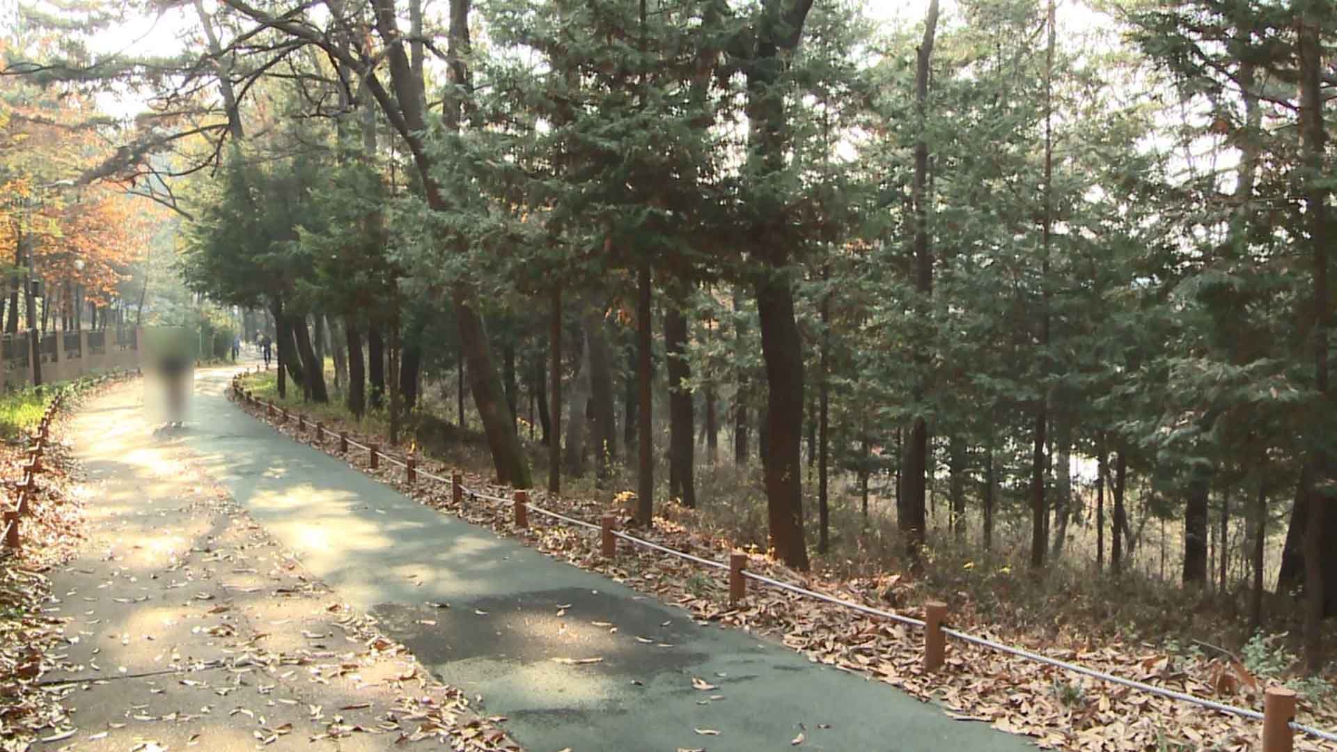 군산 월명공원 아름다운 도시숲 50선 선정