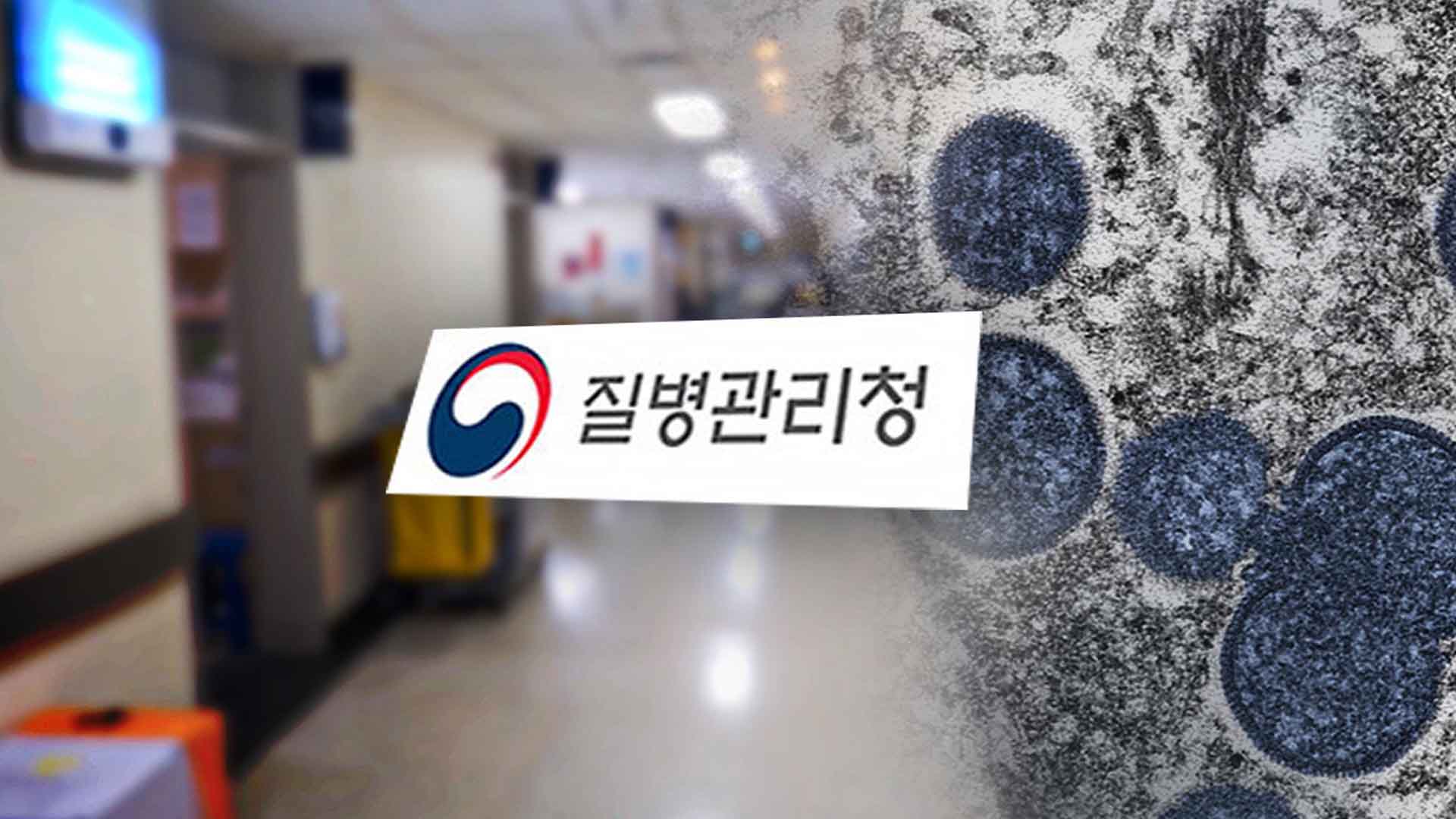 '엠폭스' 검역 감염병 재지정..보건당국, 검역 조치 강화