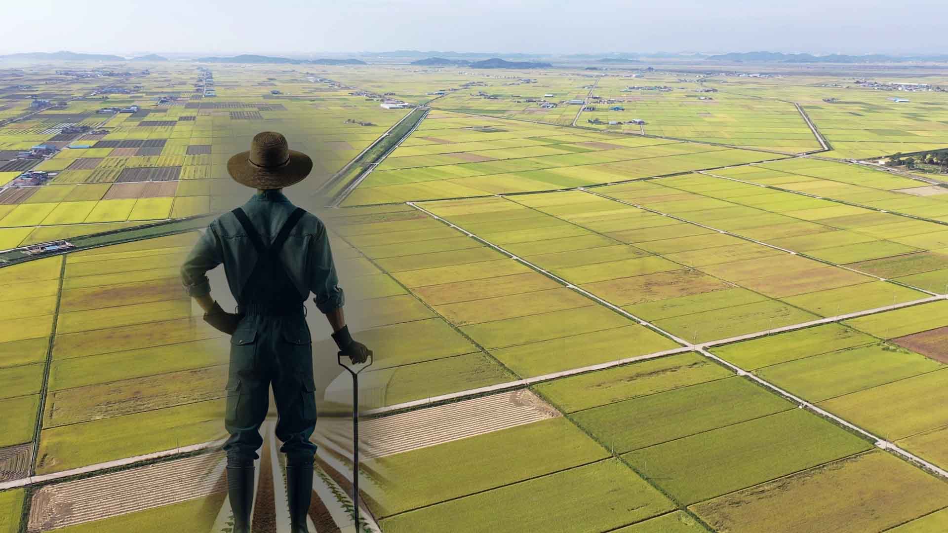 전북도, 농업인 공익직불금 부정수급 집중조사