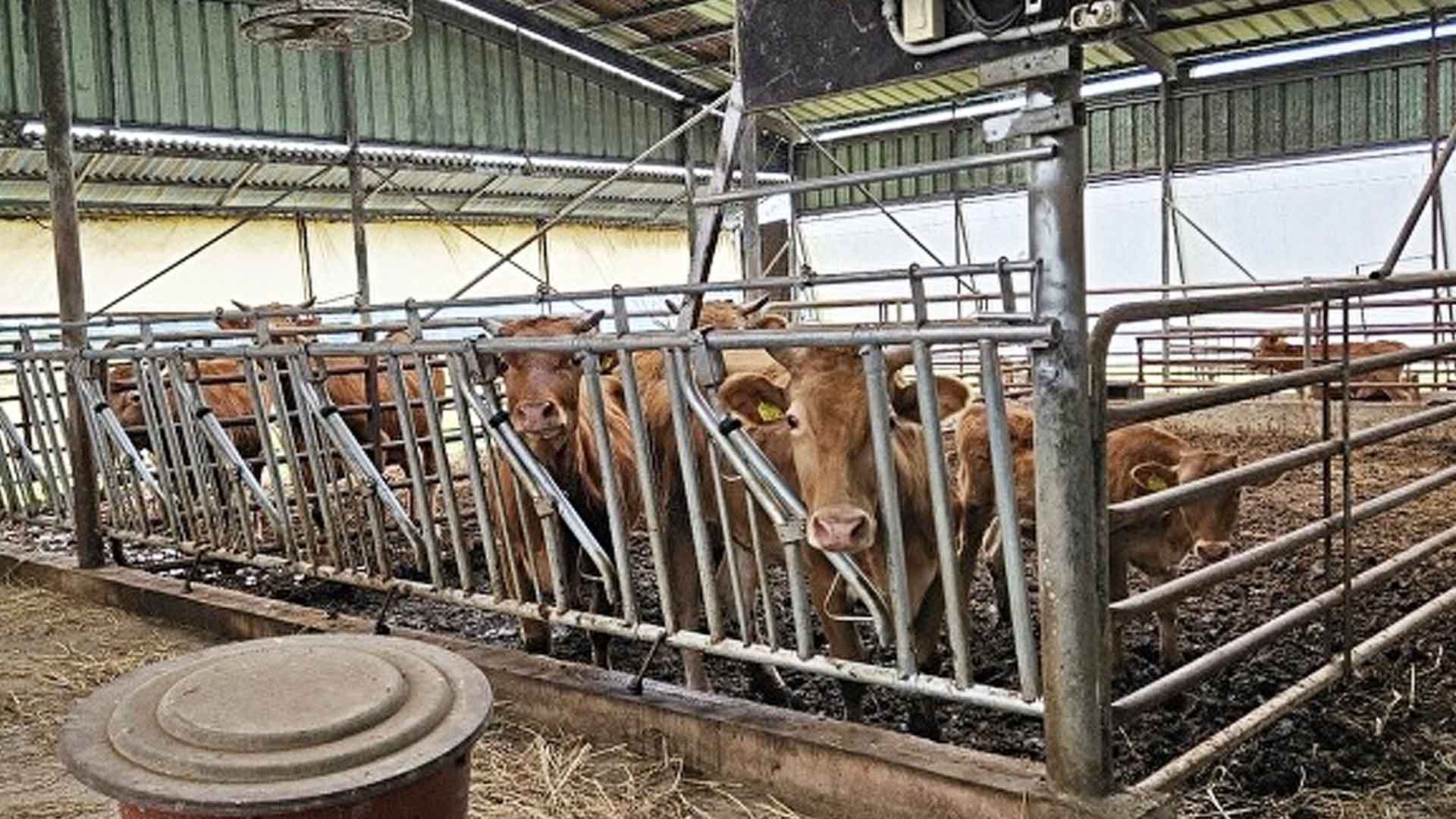 남원시, '축산악취개선' 공모 선정…사업비 11억 4천만 원 확보