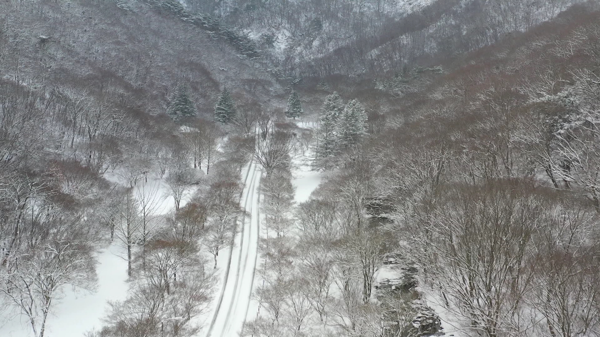 무주 설천봉 영하 7.2도.. 1~3cm 눈