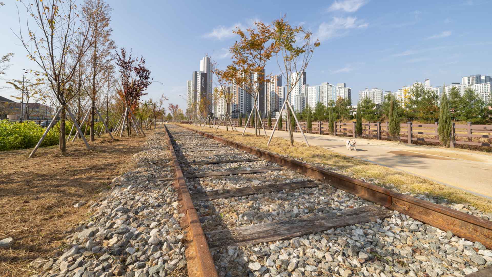 익산시, 폐철도 활용 '기후대응 도시숲' 준공식 열려