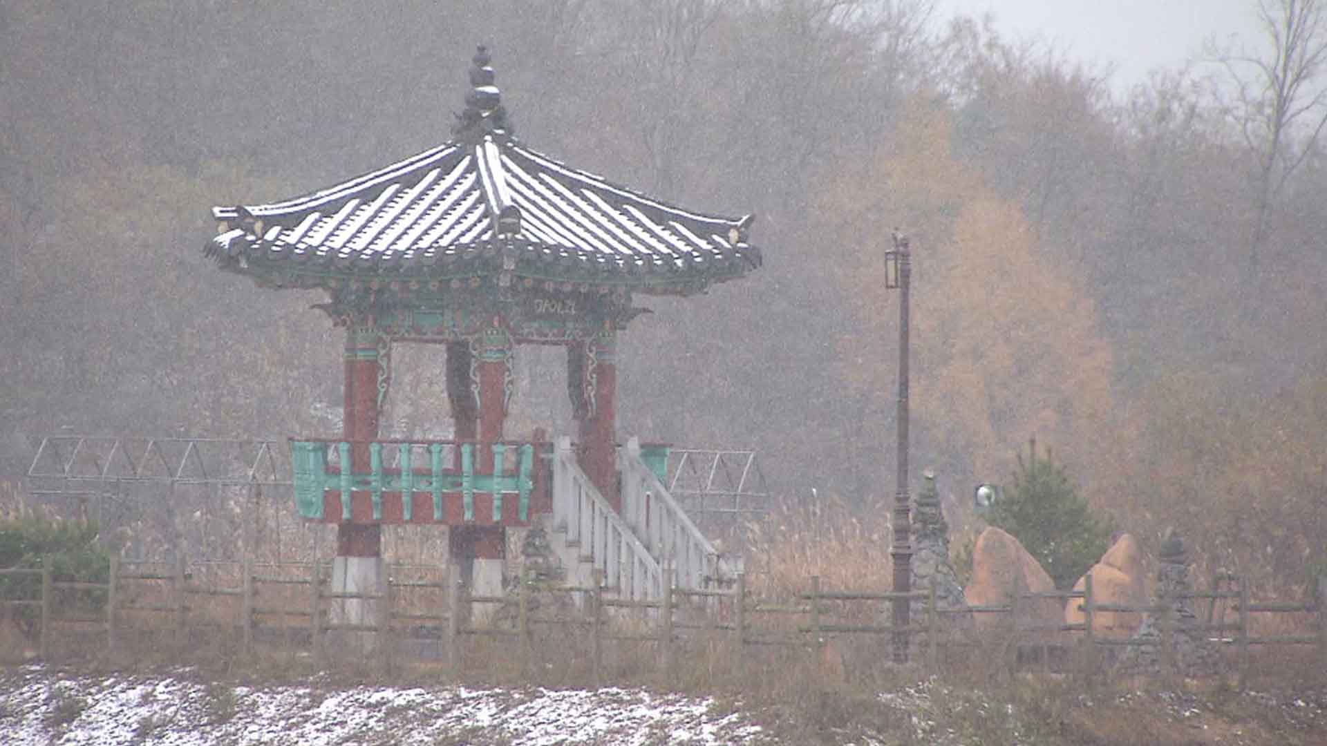 새벽부터 '첫눈'.. 출근길 대설주의보