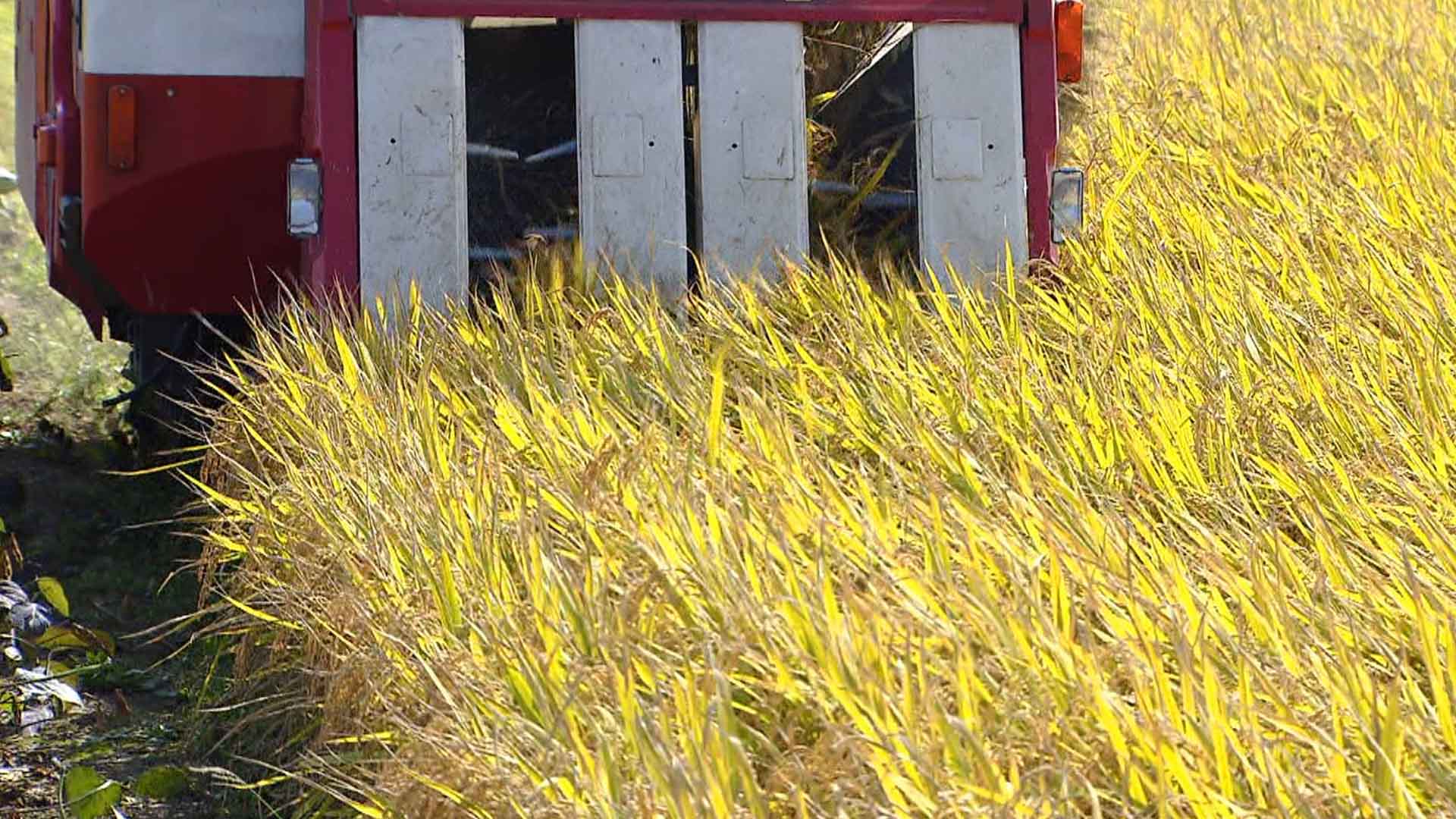 익산시, 기본형 공익직불금 393억 원 순차 지급