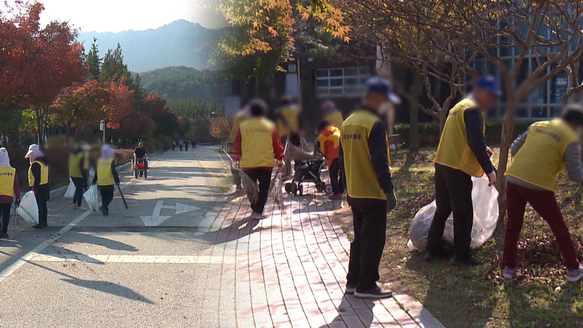 전주시, 내년 노인 공공일자리 참여자 모집
