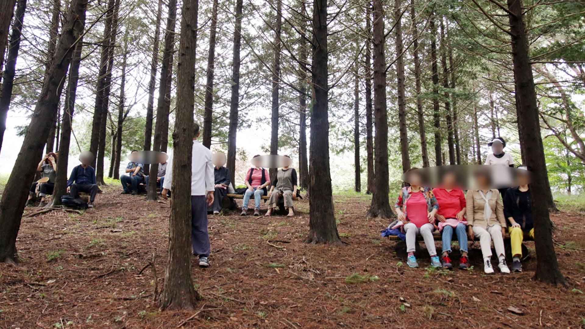 올해 전주지역 유아 2만 7천 명 숲 체험