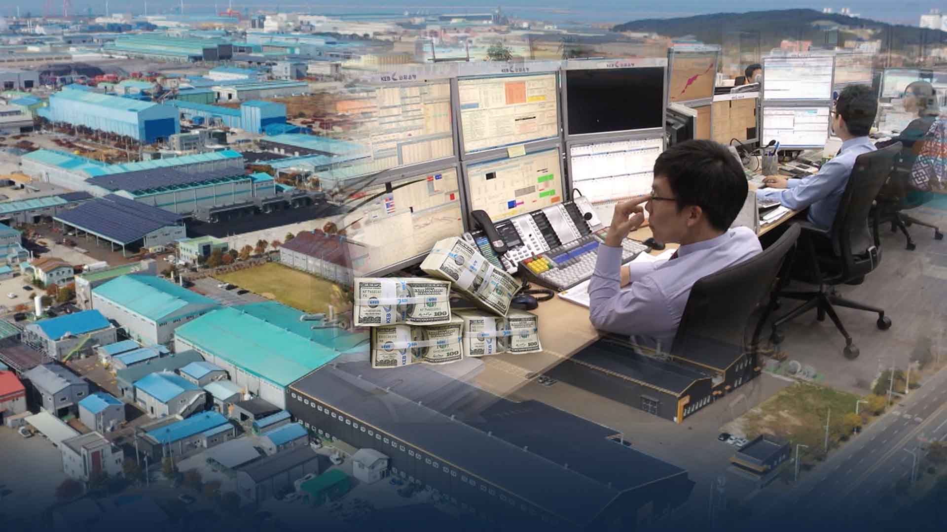 12.3내란 환율 급등.. 기업 손해 눈덩이