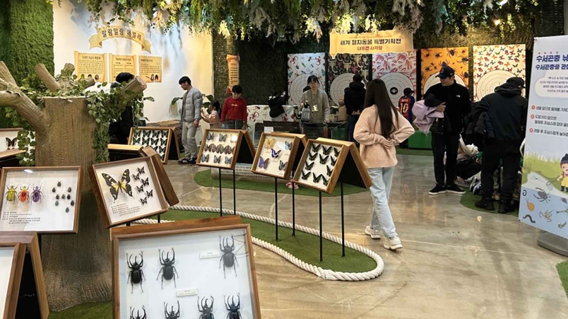남원백두대간생태교육장 '세계 절지동물 특별기획전'