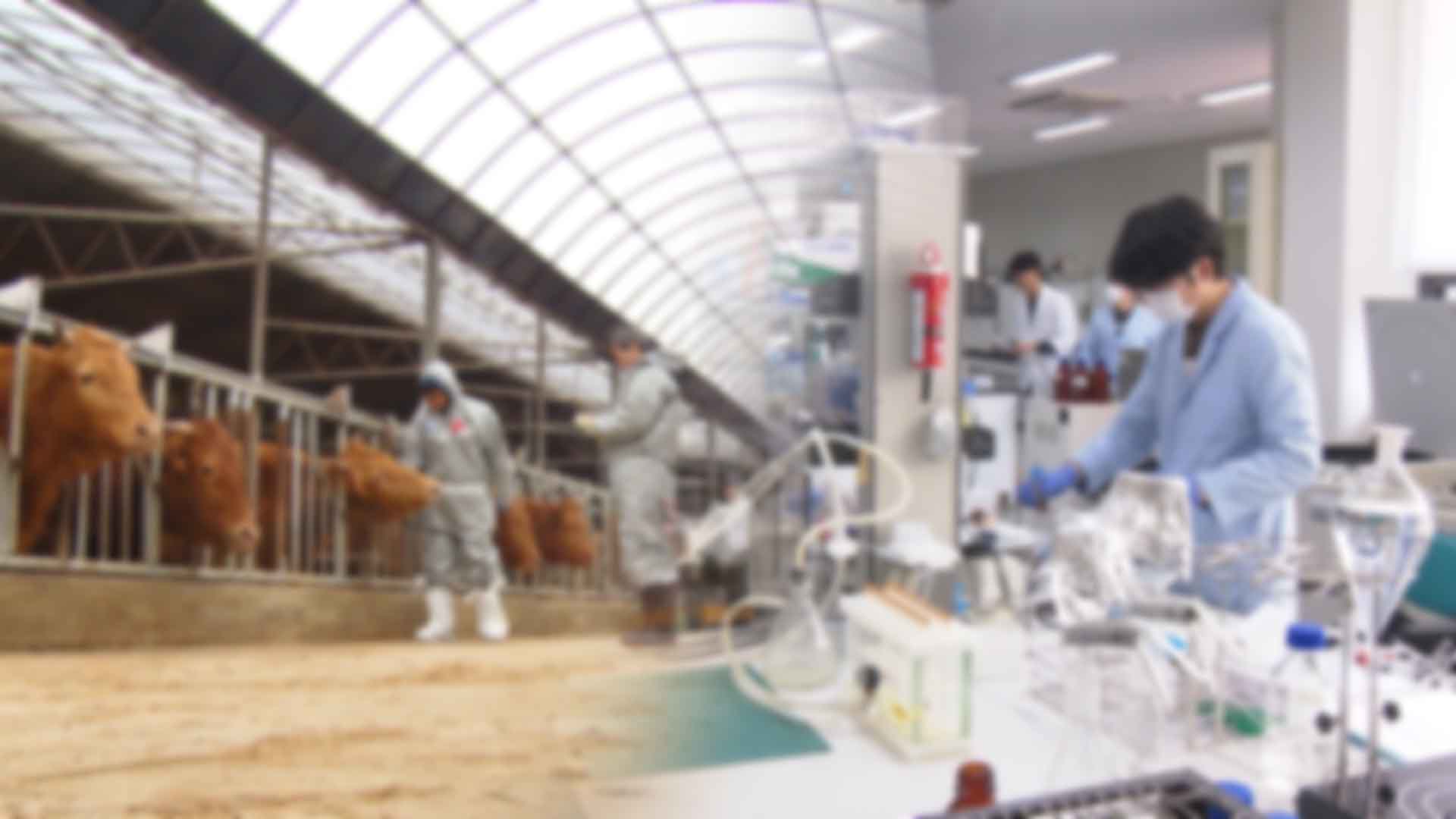수의직 지방공무원 인력난.. 