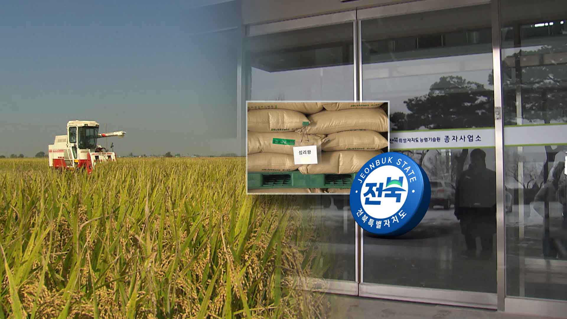 '전북 브랜드쌀' 보급 위기.. '종자 생산·관리' 도마