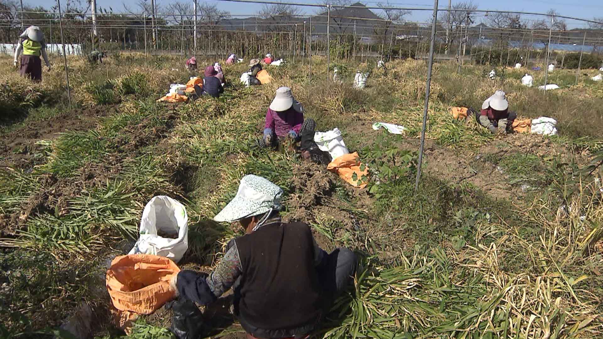 완주군, '여성농업인 특수건강검진' 실시