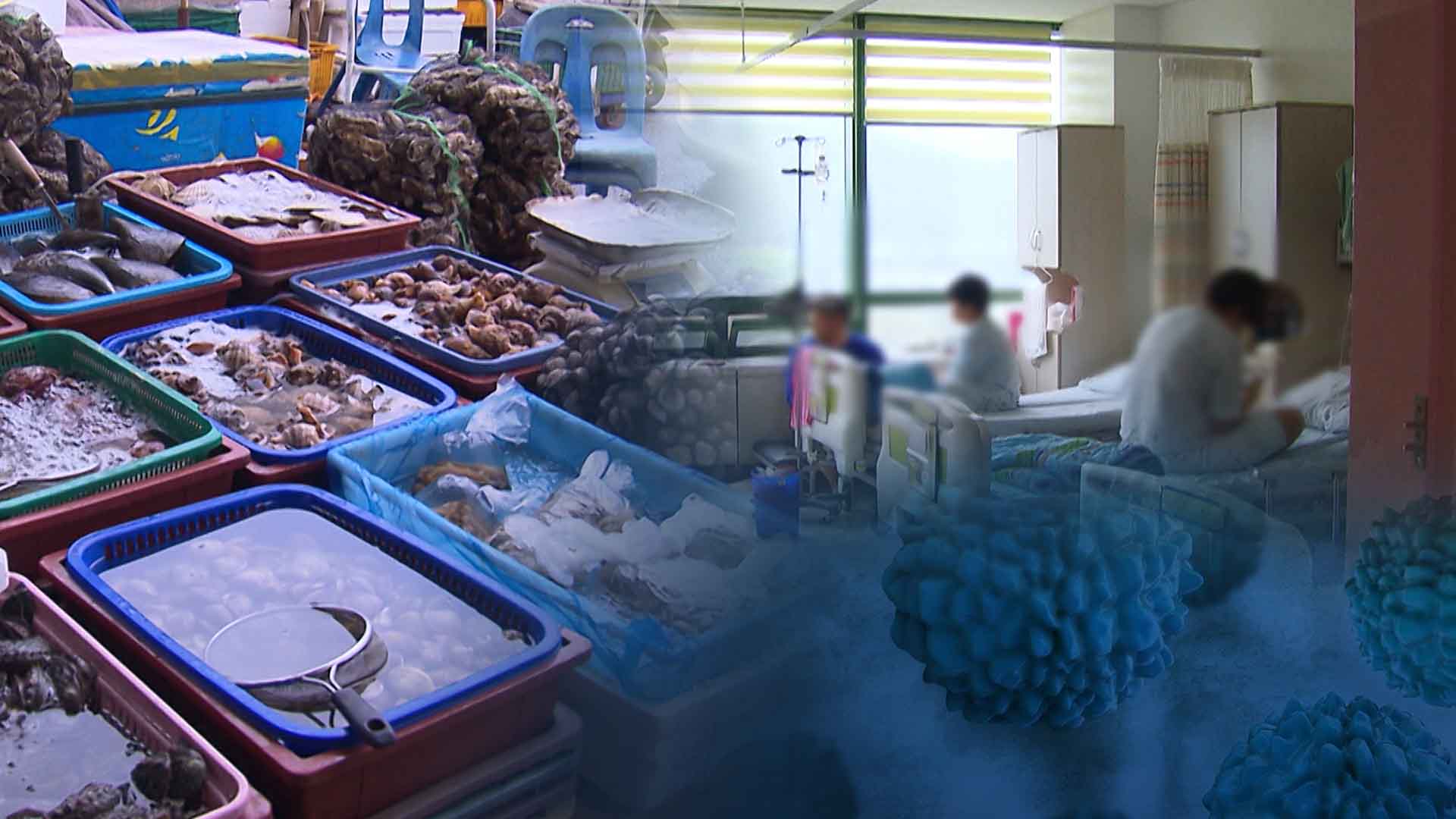 날씨 추워져도 '식중독' 조심.. 노로바이러스 기승