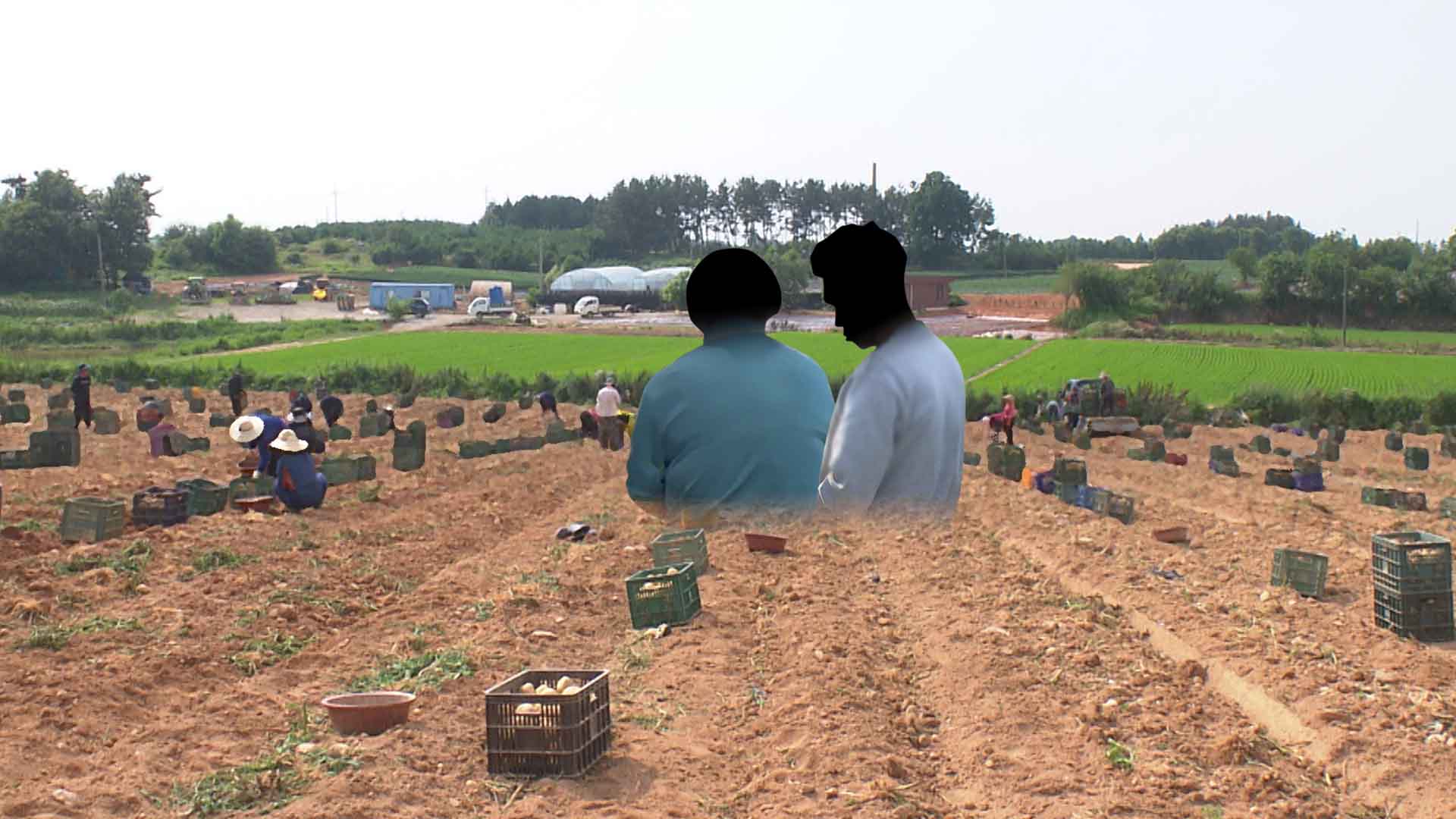 불법체류 외국인 4년 만에 30만 명대로 감소