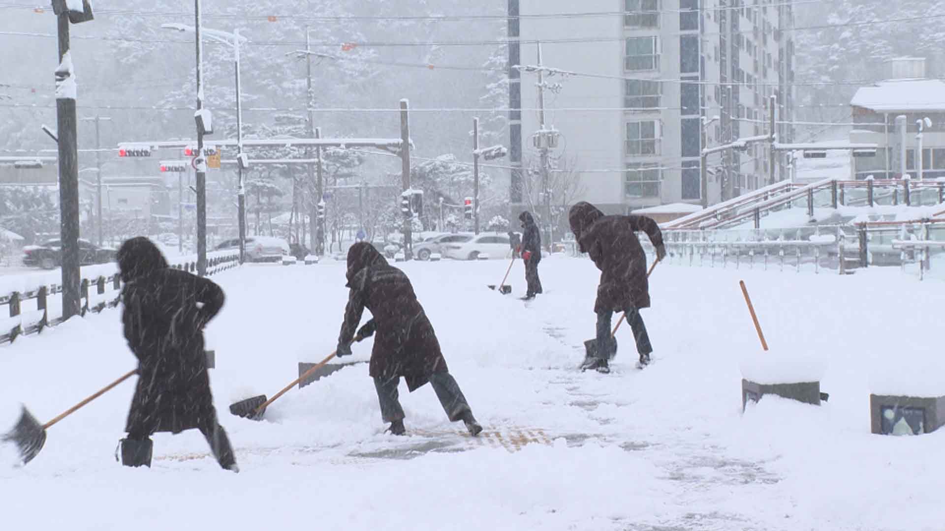 밤사이 '폭설'.. 많은 곳 25cm 더 내려