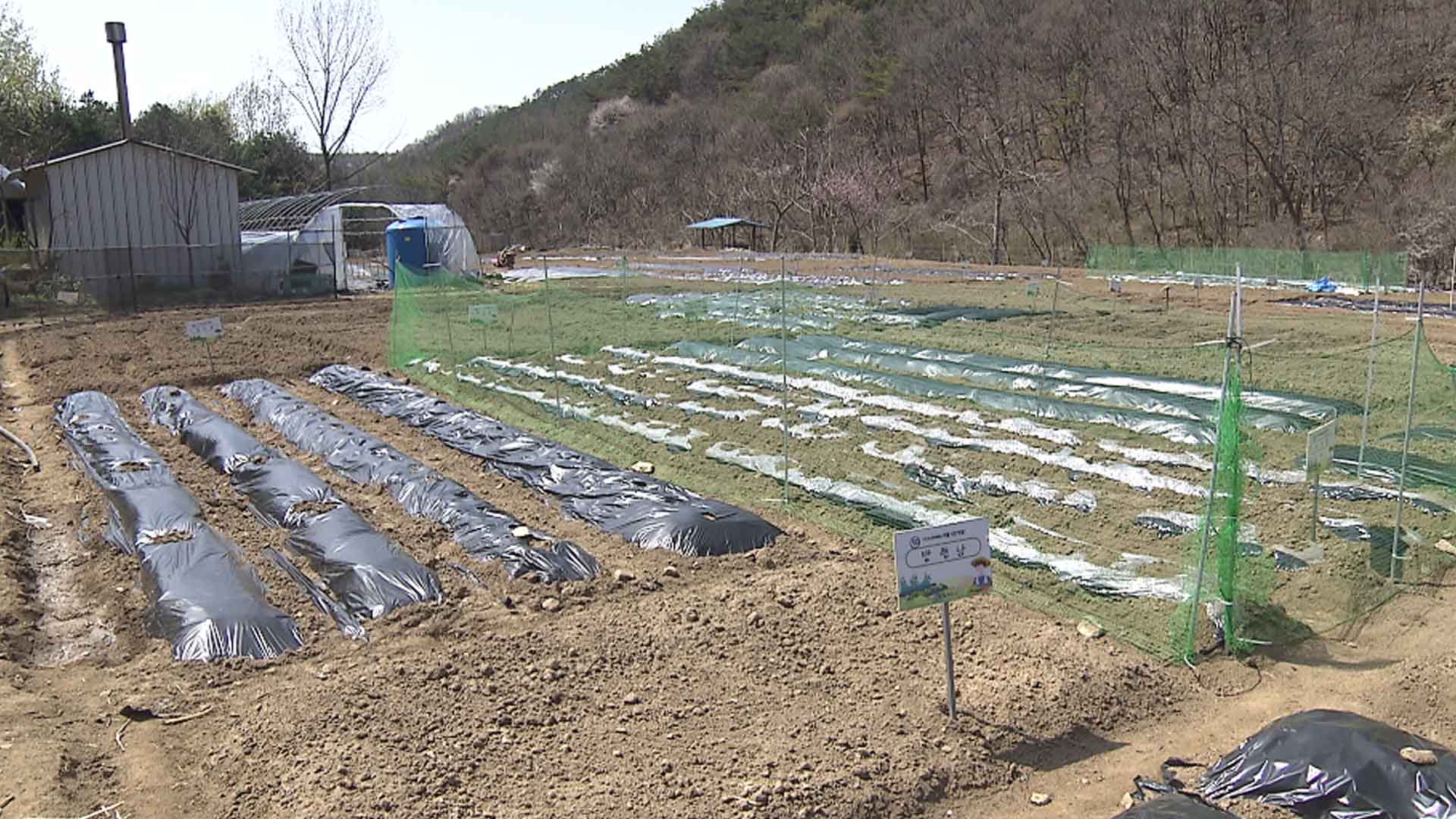 완주군, 마을·시민텃밭 분양.. 14일까지 선착순