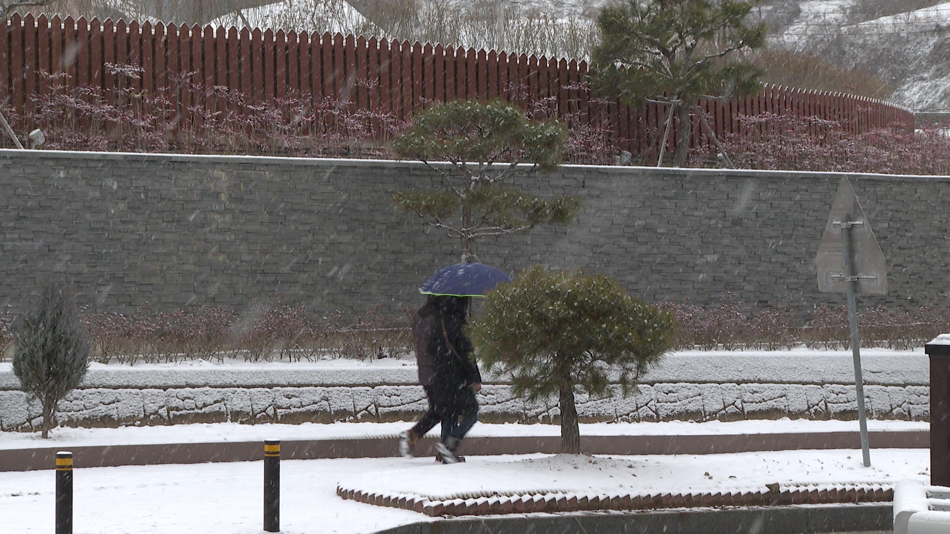 진안·장수 '대설경보'로 상향.. 동부권 밤까지 눈