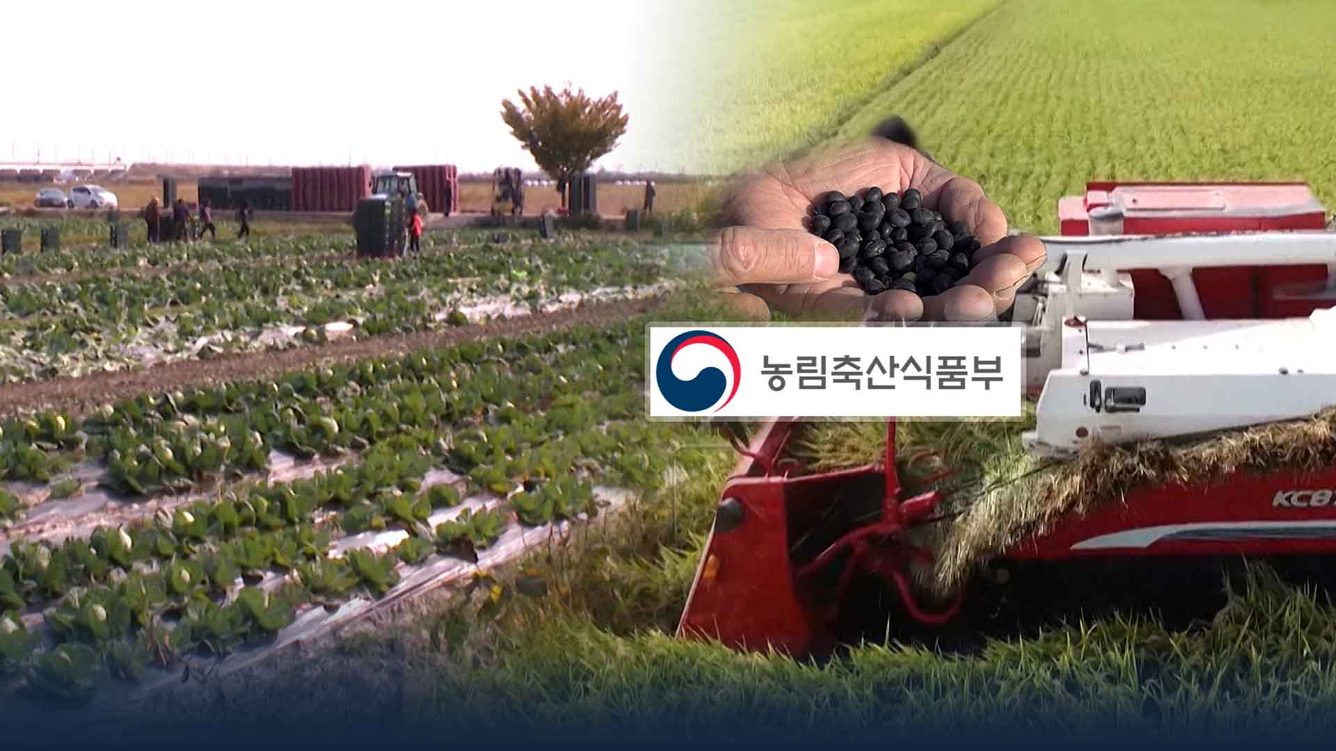 수입안정보험.. 