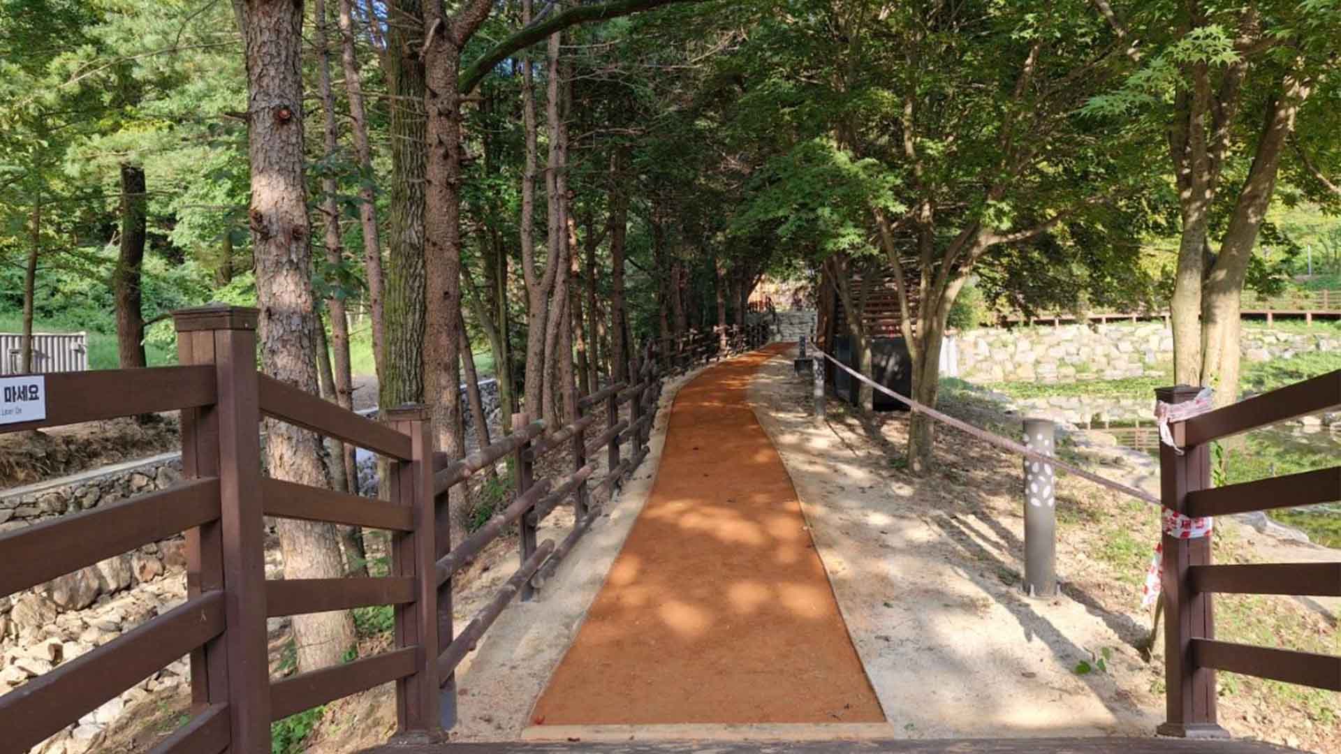 임실 성수산 왕의숲 맨발걷기 길 공개