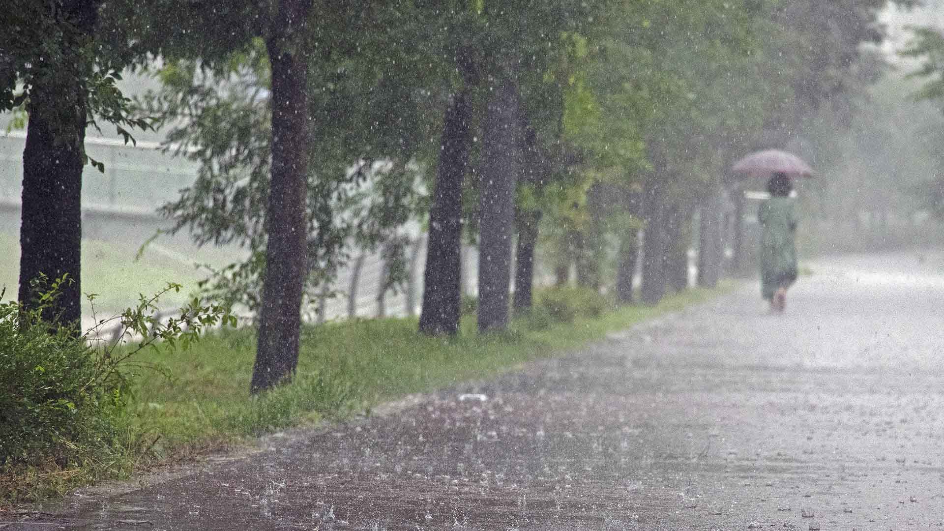 내일 도내 전역 강풍 예비특보.. 대부분 지역 비 5~20mm