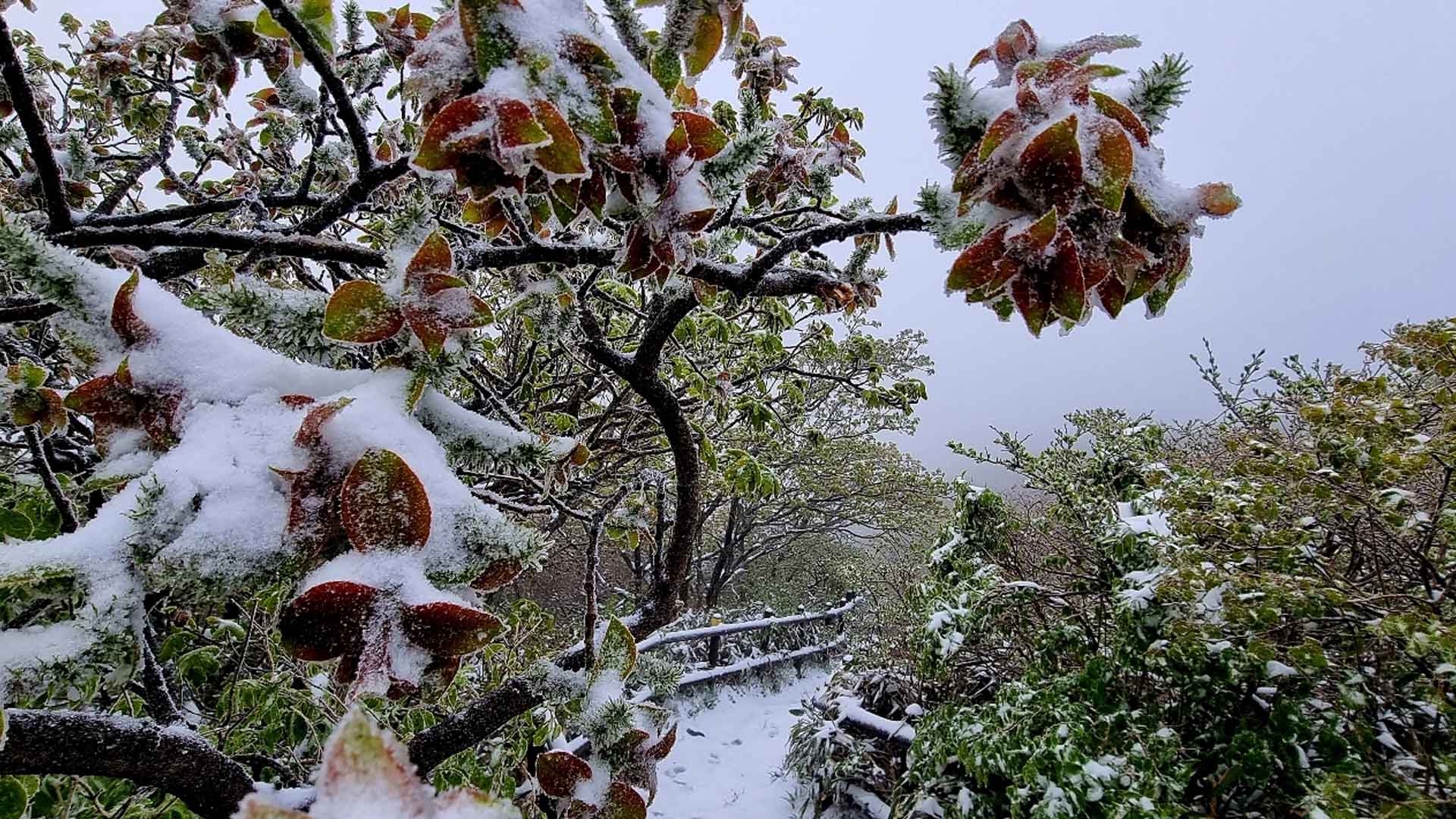 기온 급강하..무주 덕유산·적상산에 눈 내려