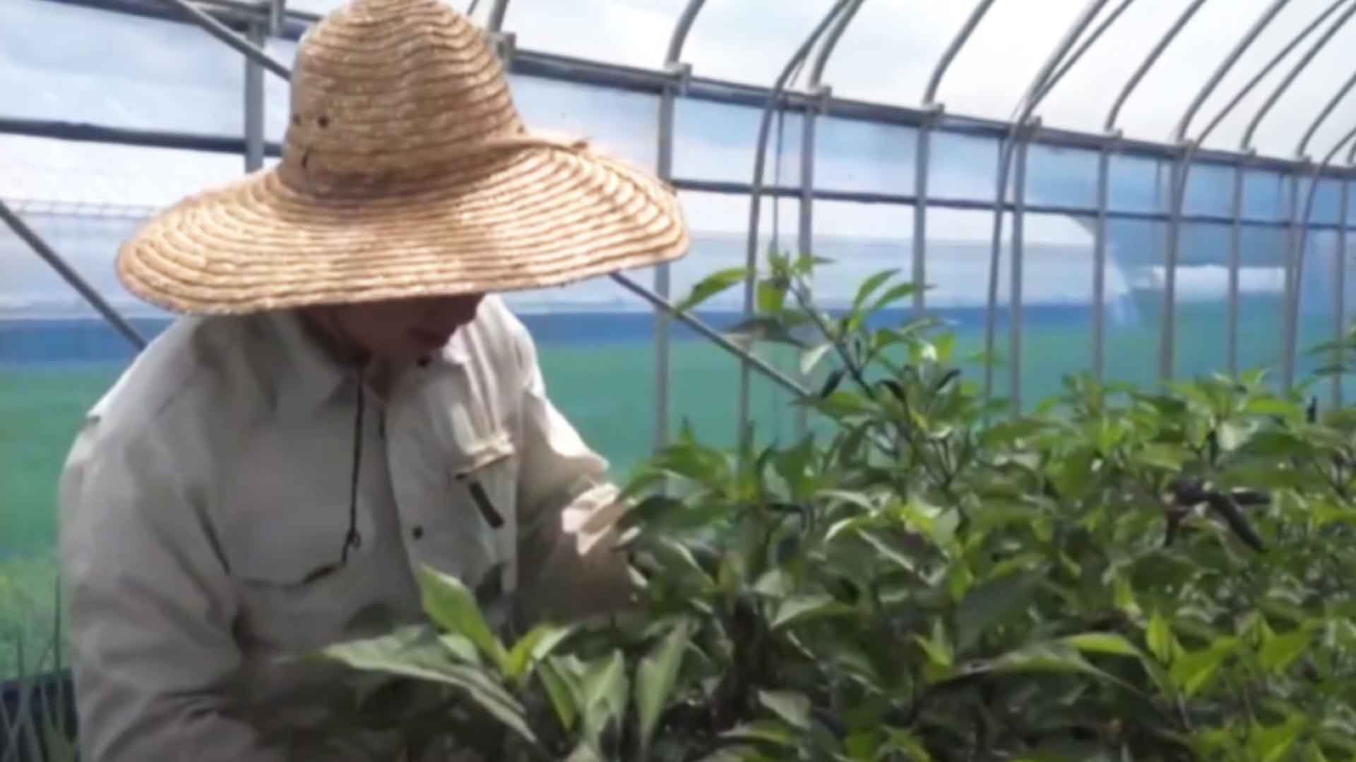 정부, 