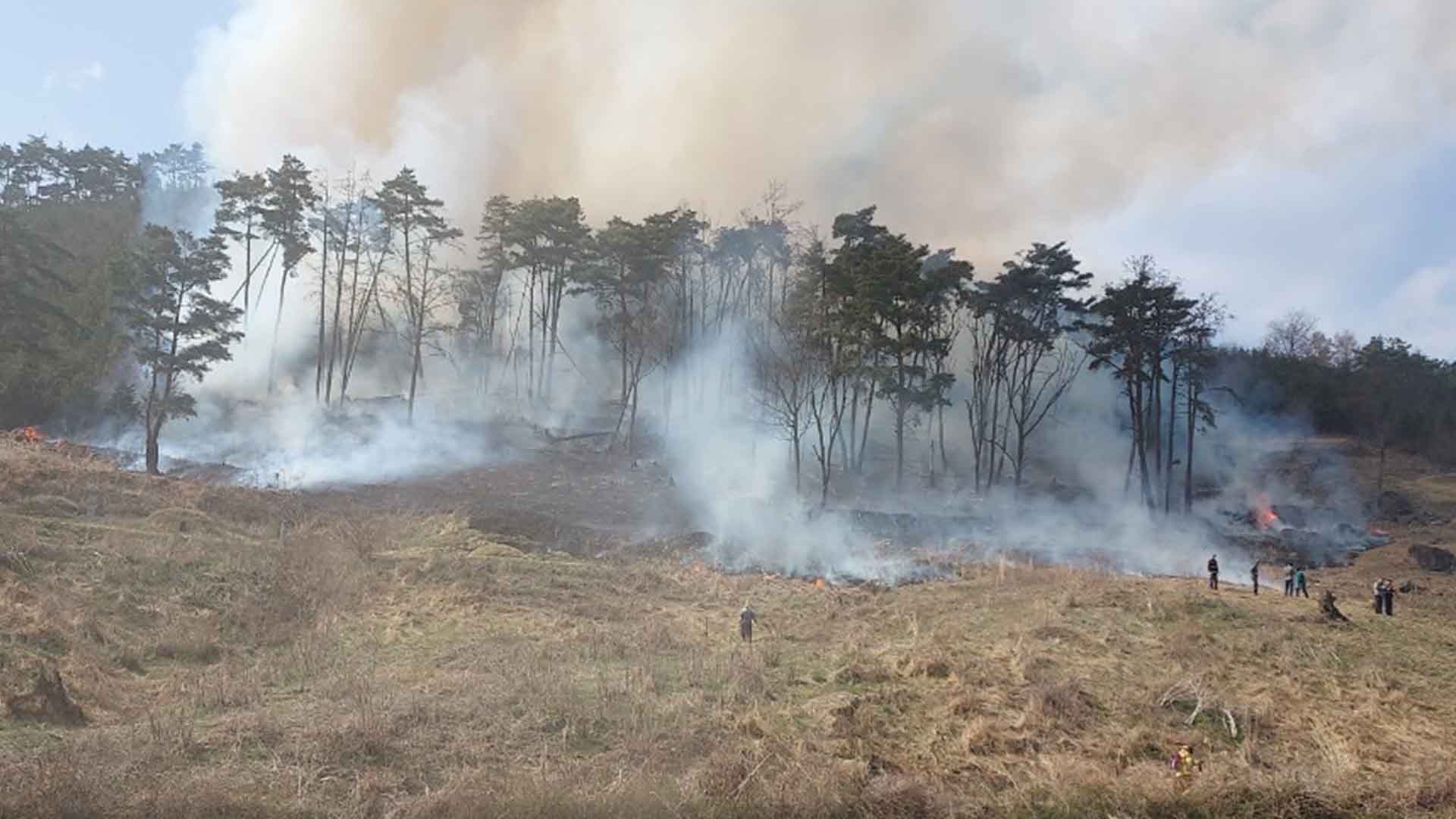 순창 쌍치면 야산 화재.. 임야 1ha 소실
