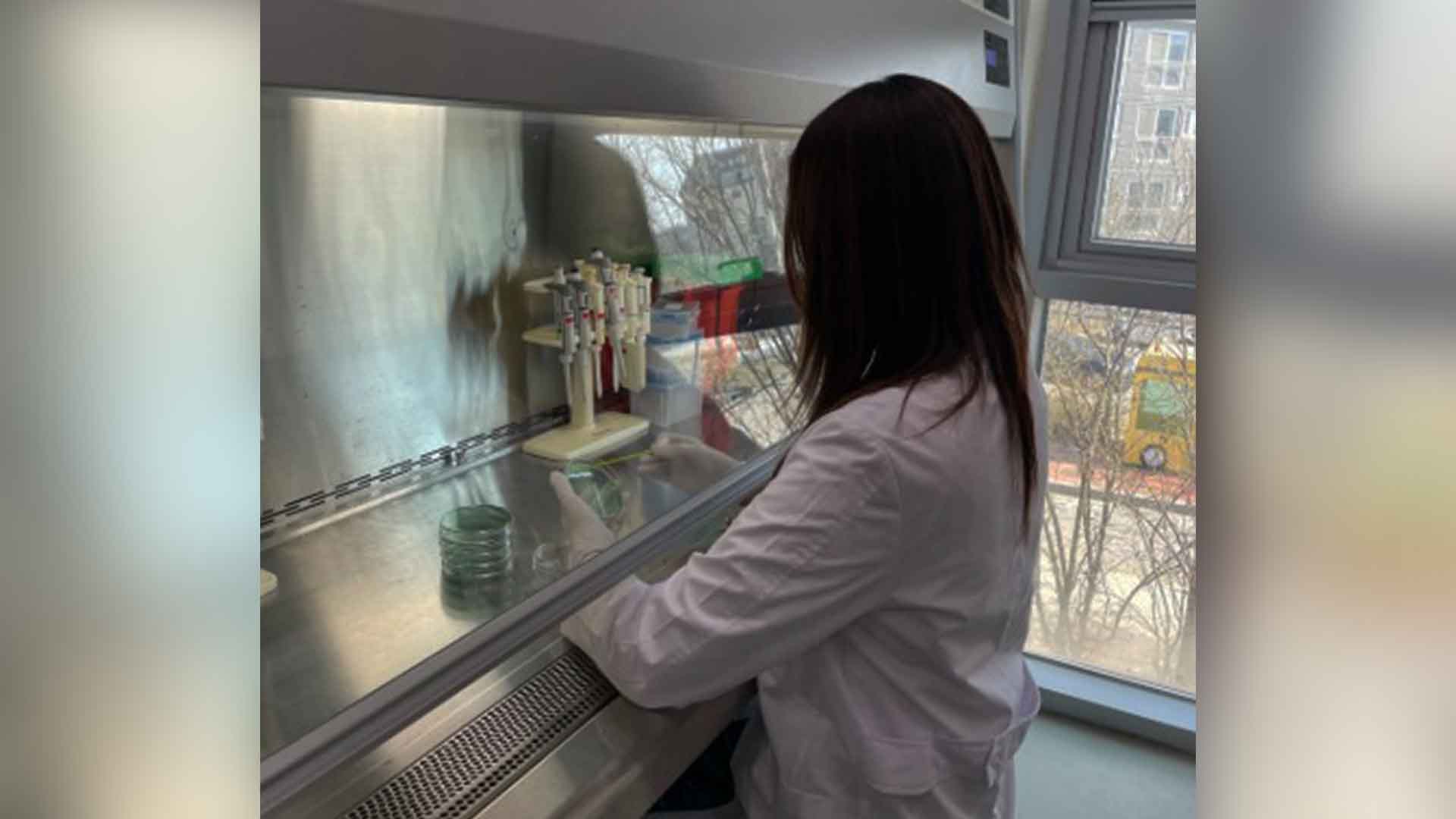 전북 보건환경연구원, 서해안 비브리오패혈증균 집중 감시