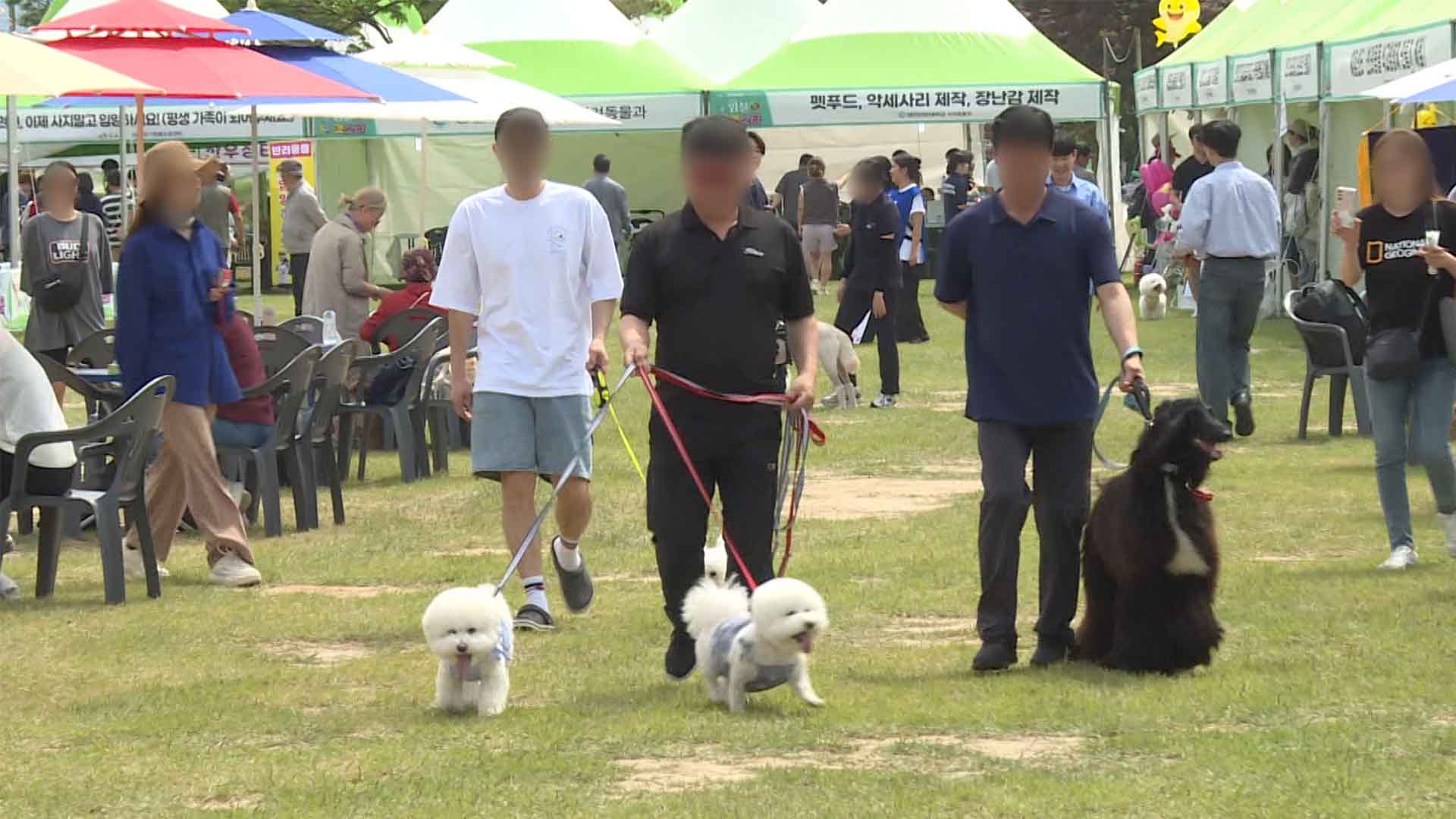 제40회 의견문화제와 함께하는 임실N펫스타 5월 3~5일 개최