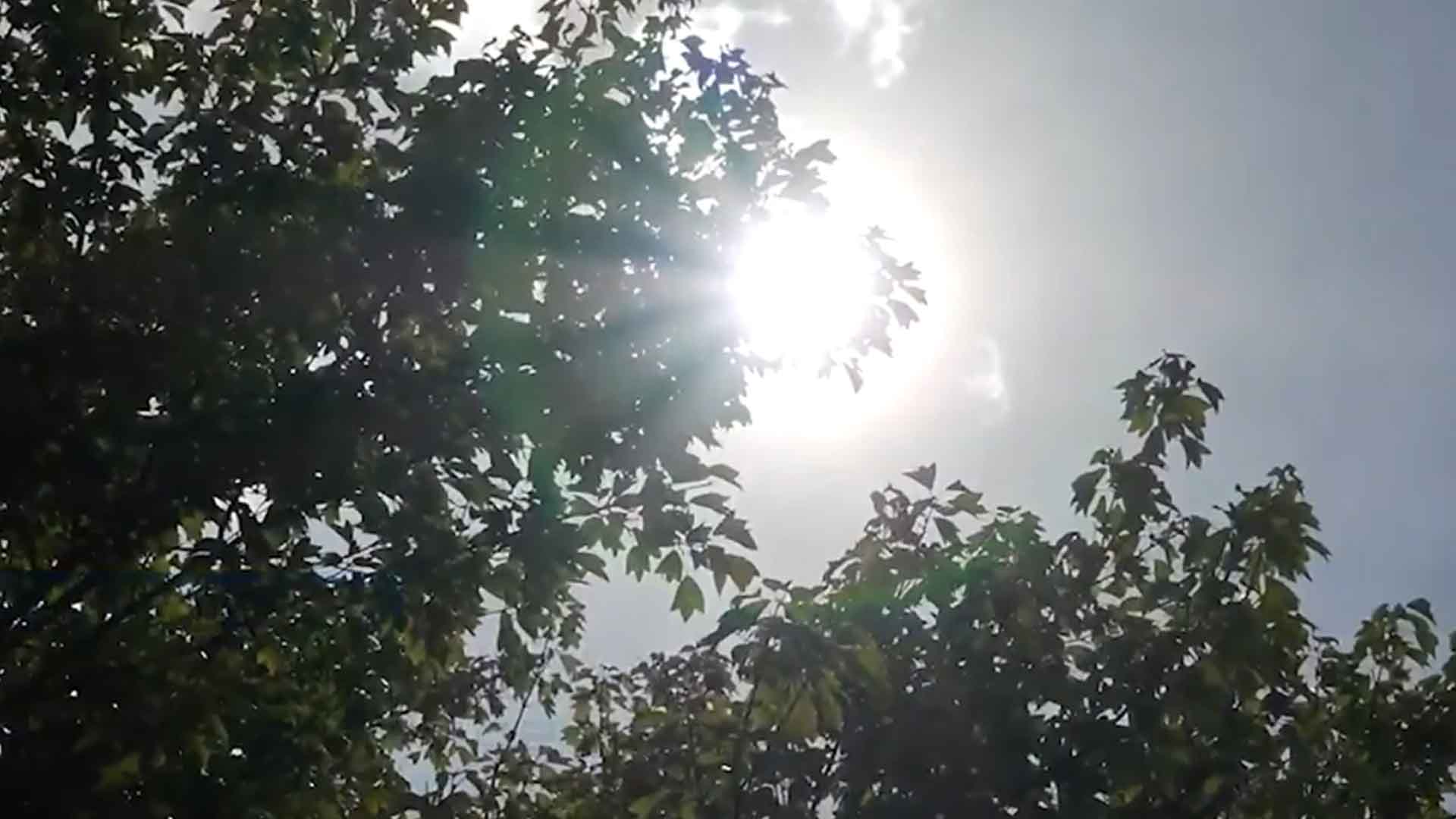 낮 최고 기온 28도까지.. 주말 비 5~10mm