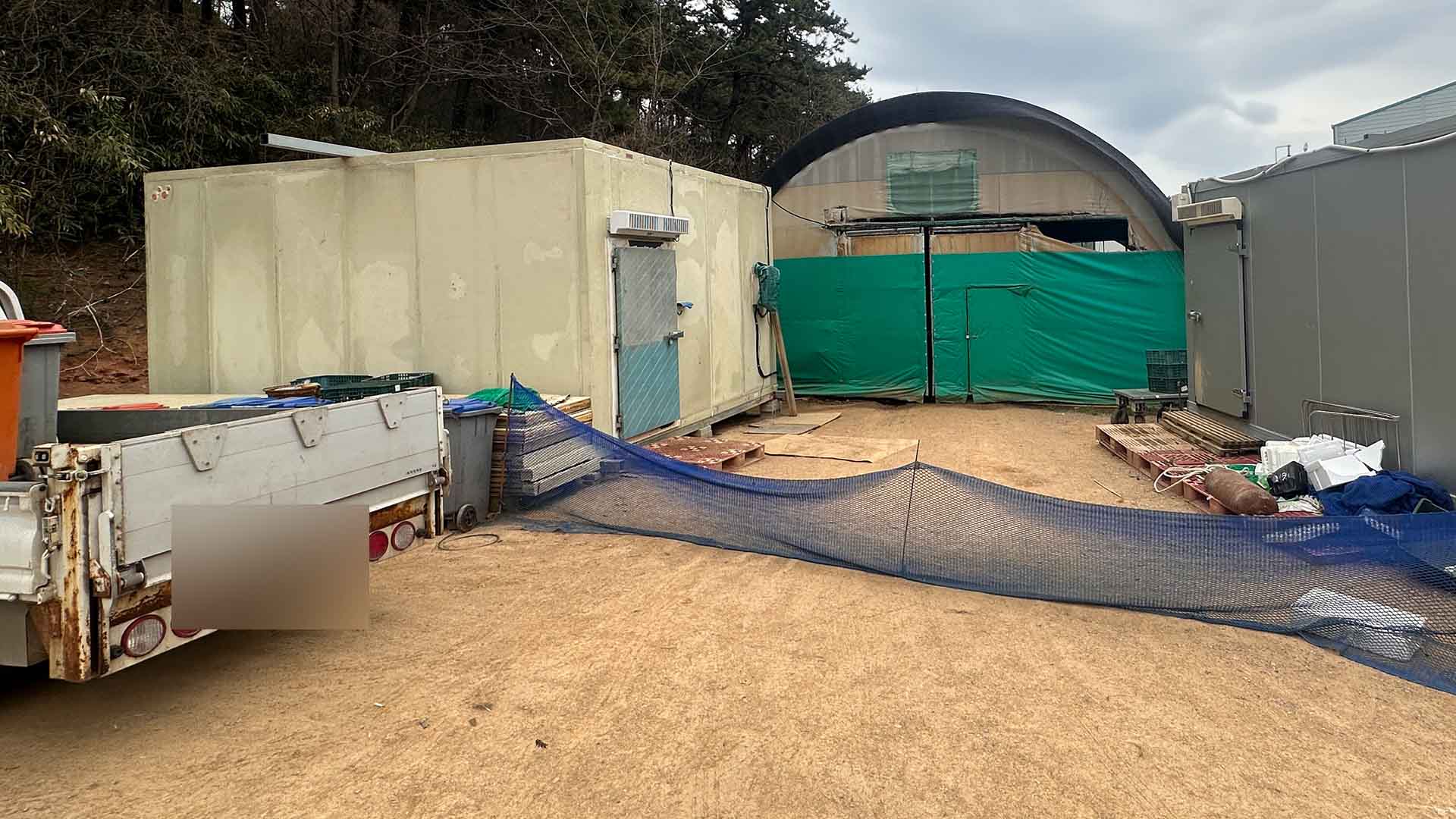 냉동고에서 개 사체 120마리 발견.. '몰래 도축해 유통 시도'