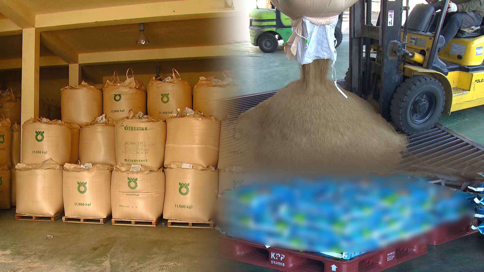 올해 공공비축, 쌀은 동일 콩은 1만t 늘어