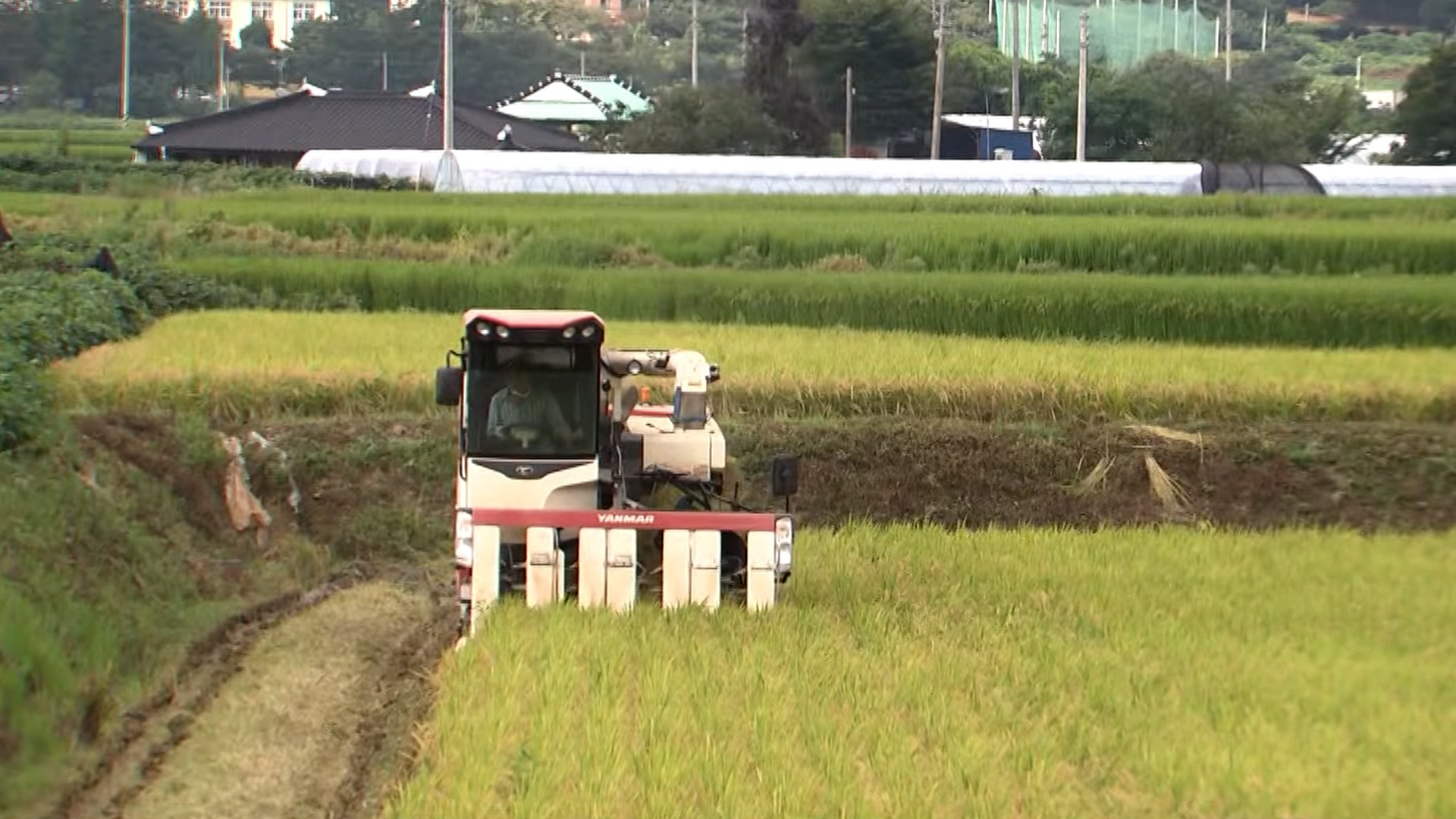 고창군, '농민 공익수당' 추석 전 1만 2천여 명 지급 [글로컬소식]