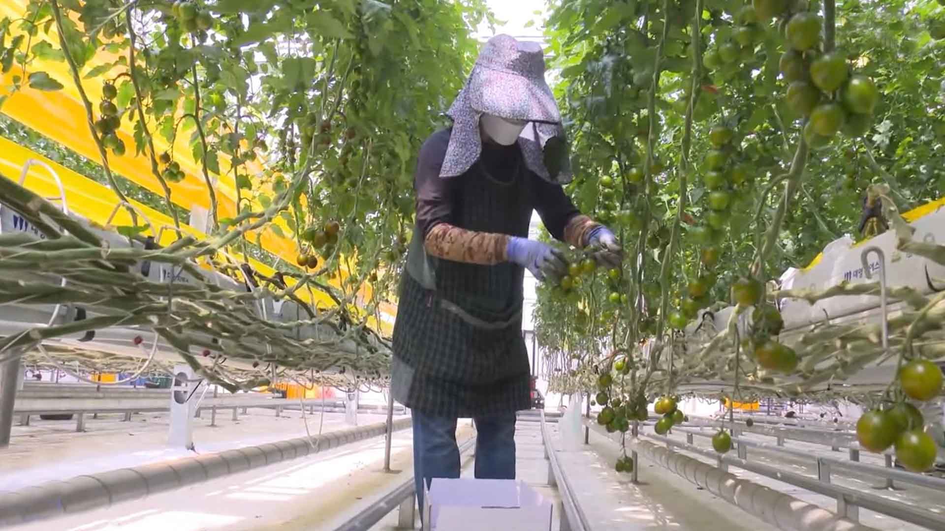 스마트농업관리사, 첫 국가자격 시험 실시