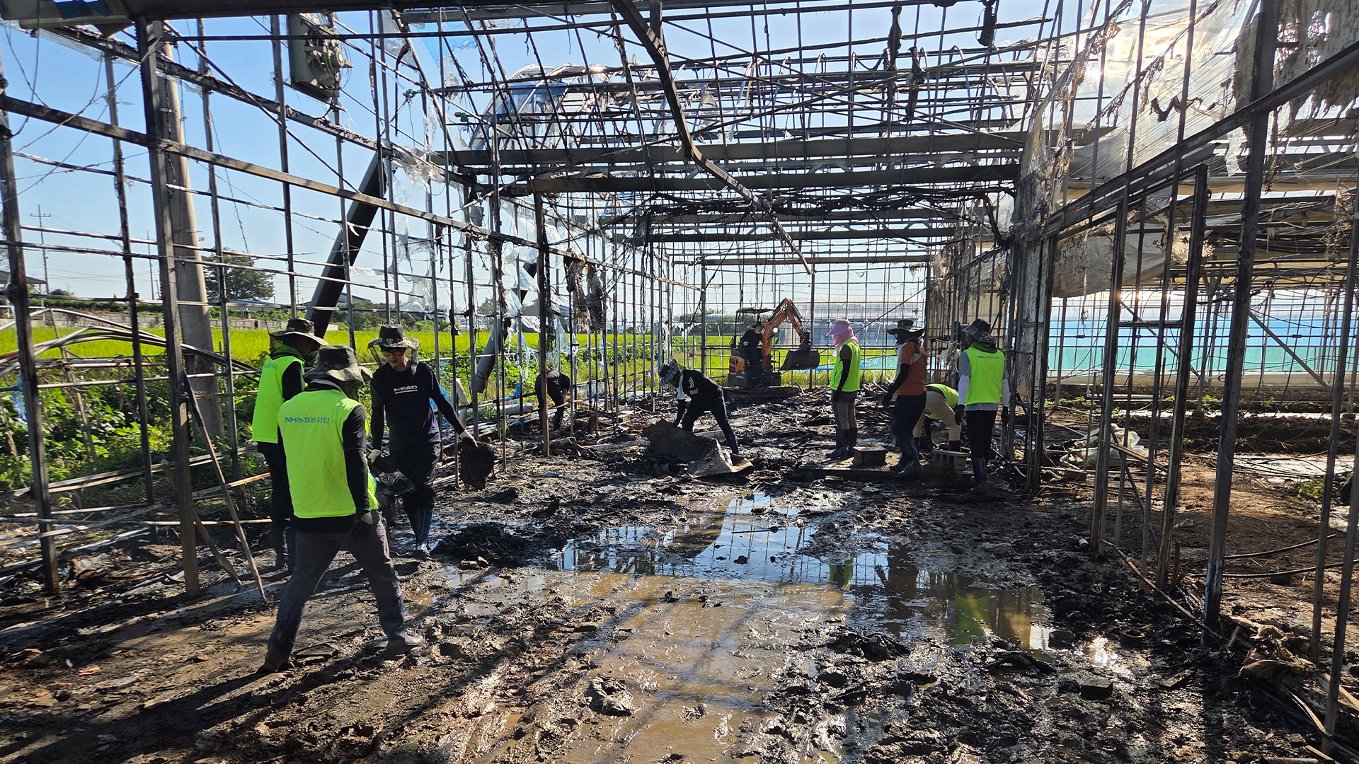 농협전북본부, 군산 비 피해지역 일손돕기 나서