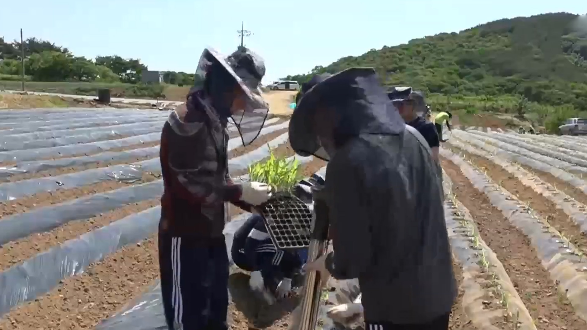 '전북 귀농' 전국 5위에 그쳐.. 전북 내 귀농인 비율도 높아