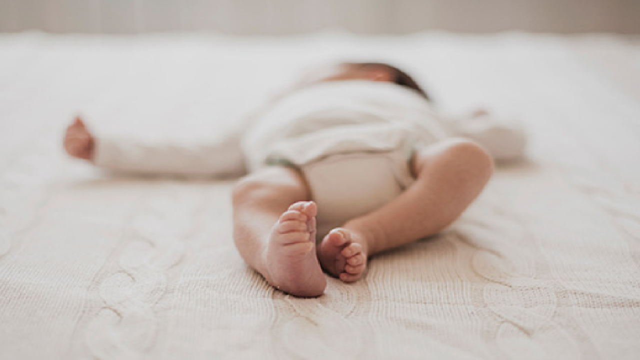 무주·장수·진안·임실·순창.. 