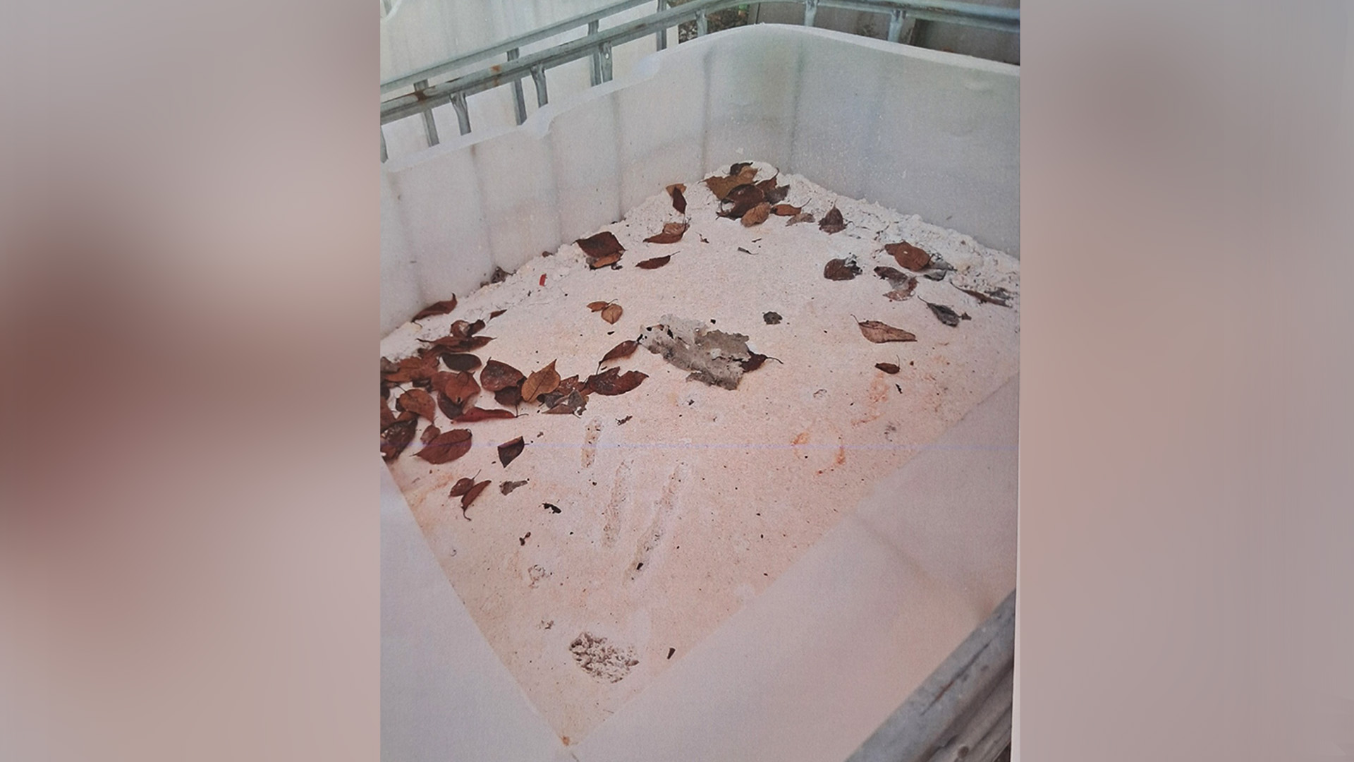 군산 화학 공장 산·알칼리 성분 유출 신고.. 환경 당국 '합동 점검'