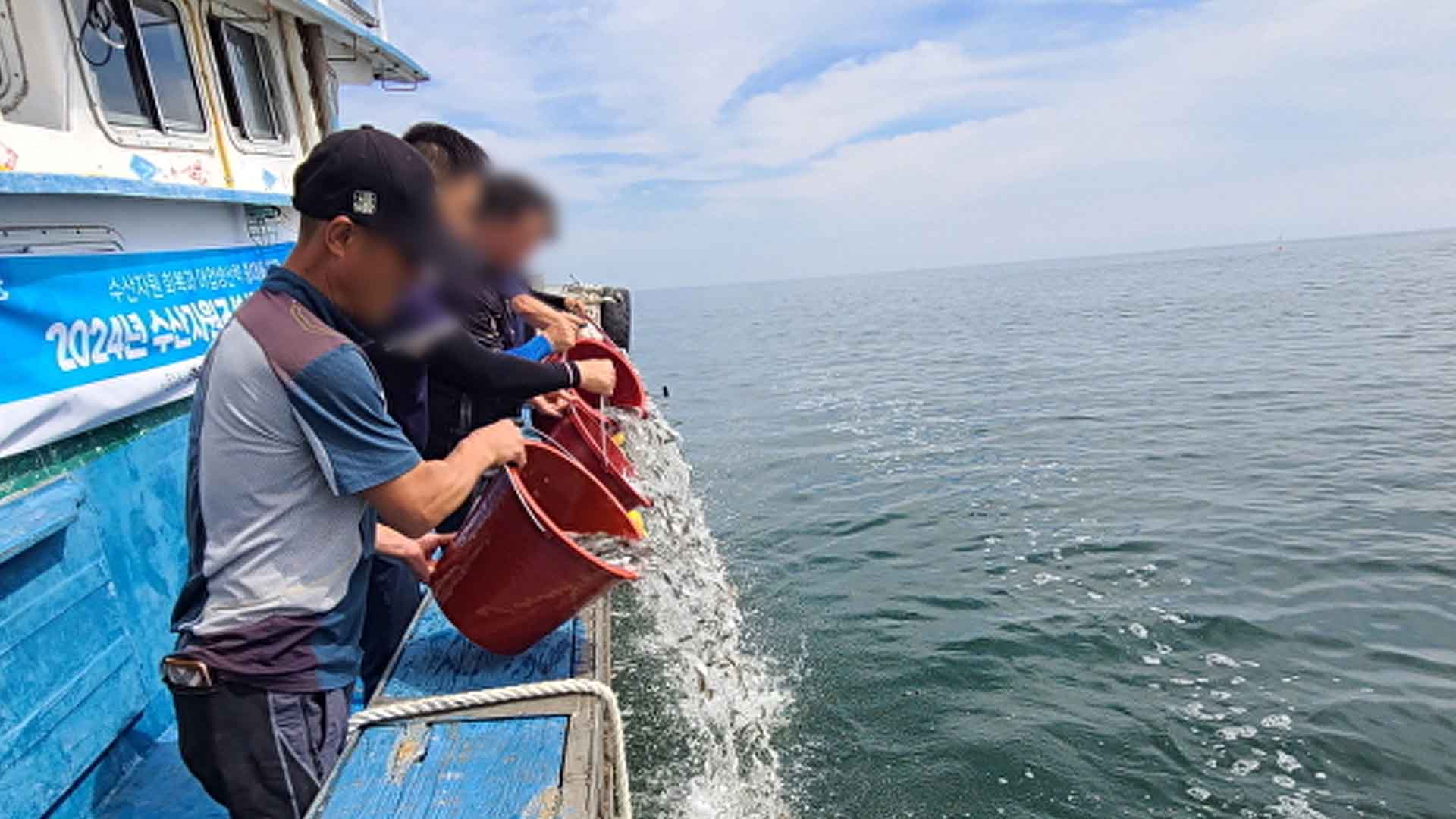 전북도 수산기술연구소, 박대 10만 마리 방류