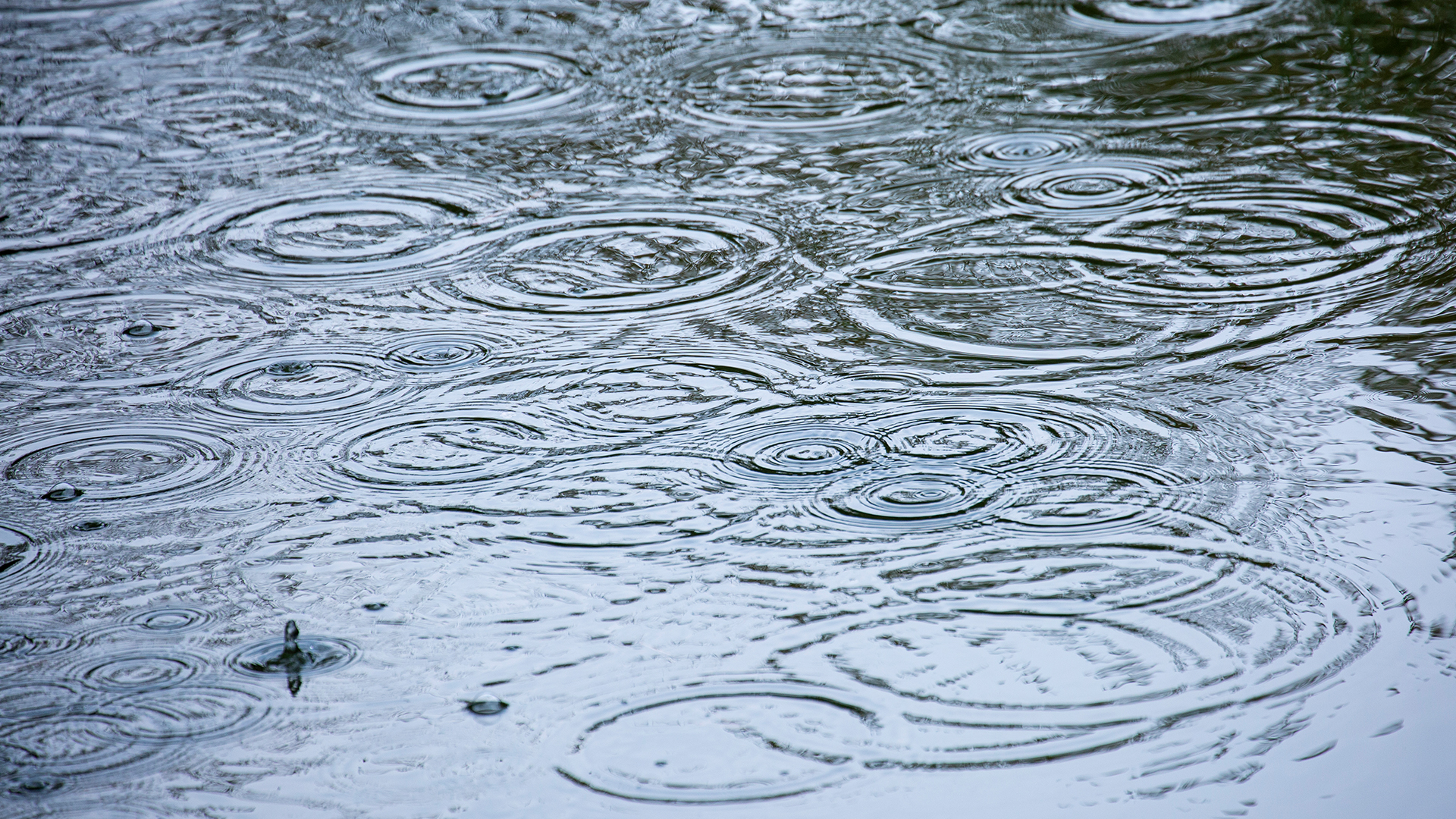 전북 비 5~15mm.. 동부 산악권 눈 1cm 안팎