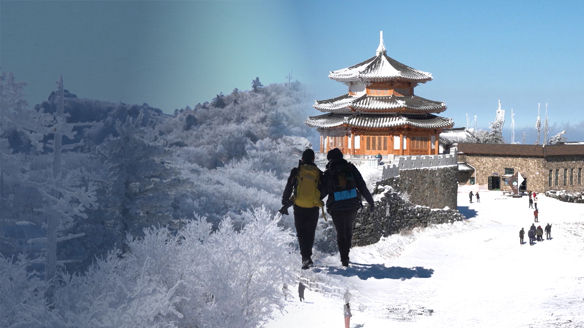해발 1,500m는 벌써 눈꽃 세상.. 다음주부터 본격 겨울 정취