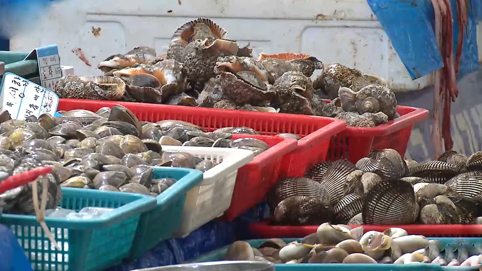 겨울철 노로바이러스 감염 증가.. 주의 필요