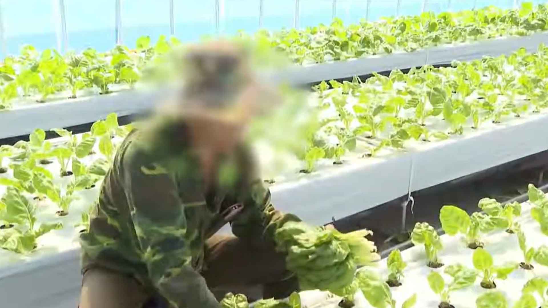 농촌 외국인 노동자 인권·안전 보호 해야