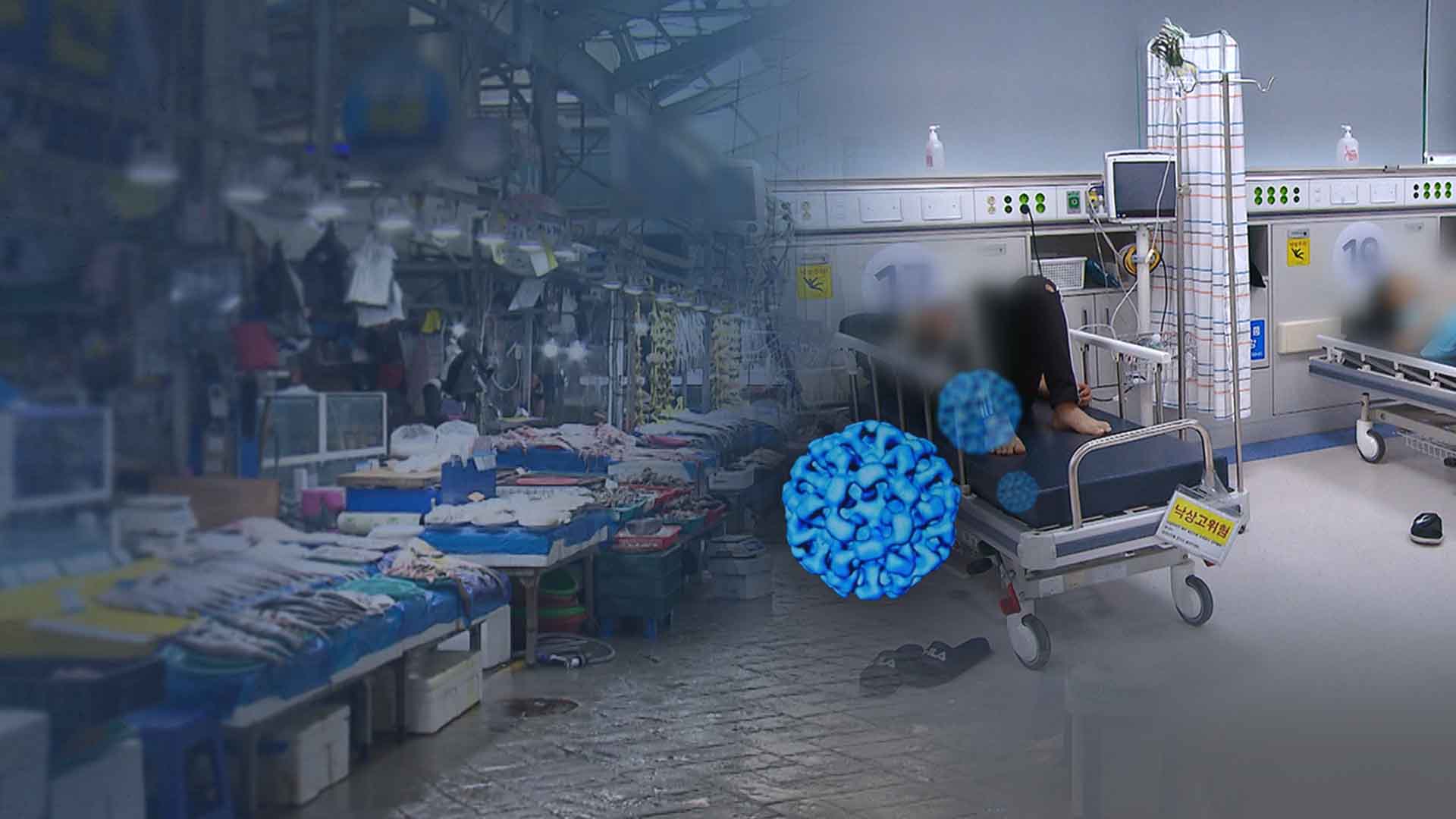 추워지니 노로바이러스 확산.. 오염된 물·생어패류 '주의'